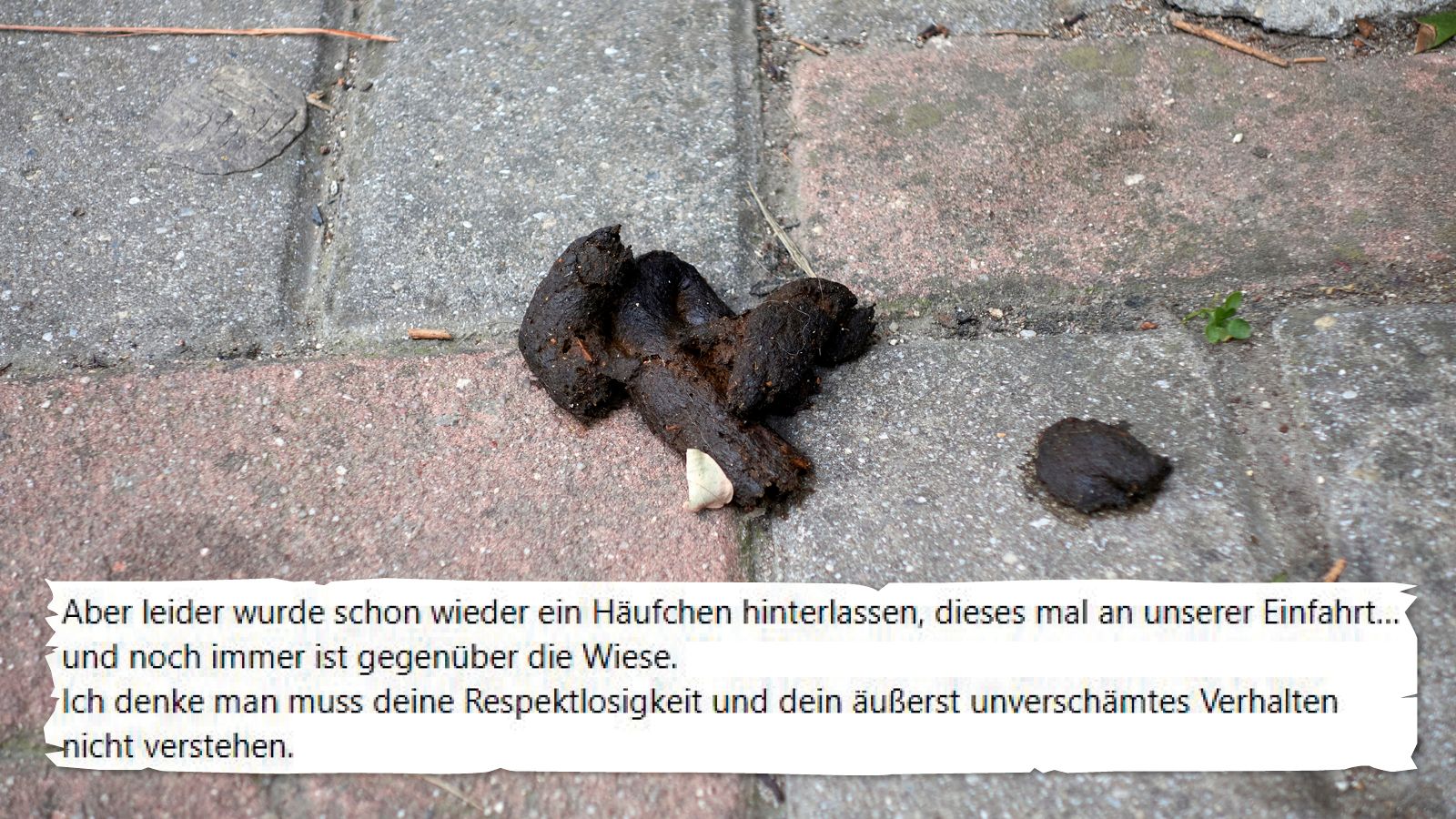 Auf Facebook gehen die Wogen hoch, weil Hundebesitzer die Hinterlassenschaft ihrer Vierbeiner oft nicht wegräumen. (Symbolbild)
