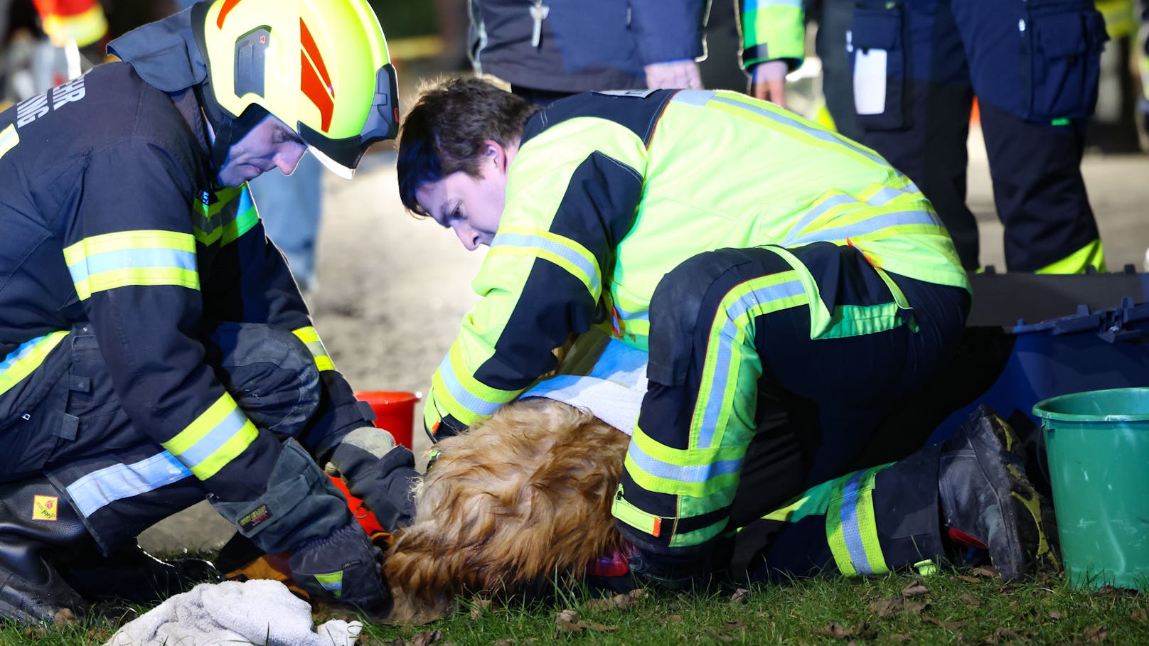 Vier Feuerwehren wurden am späten Sonntagabend mit dem Alarmierungstext "Personenrettung tief" nach Steinerkirchen an der Traun (Bezirk Wels-Land) zu einer, in eine Jauchegrube gestürzte Person geholt. Vor Ort stellte sich dann heraus, dass es sich um einen Hund handelte.