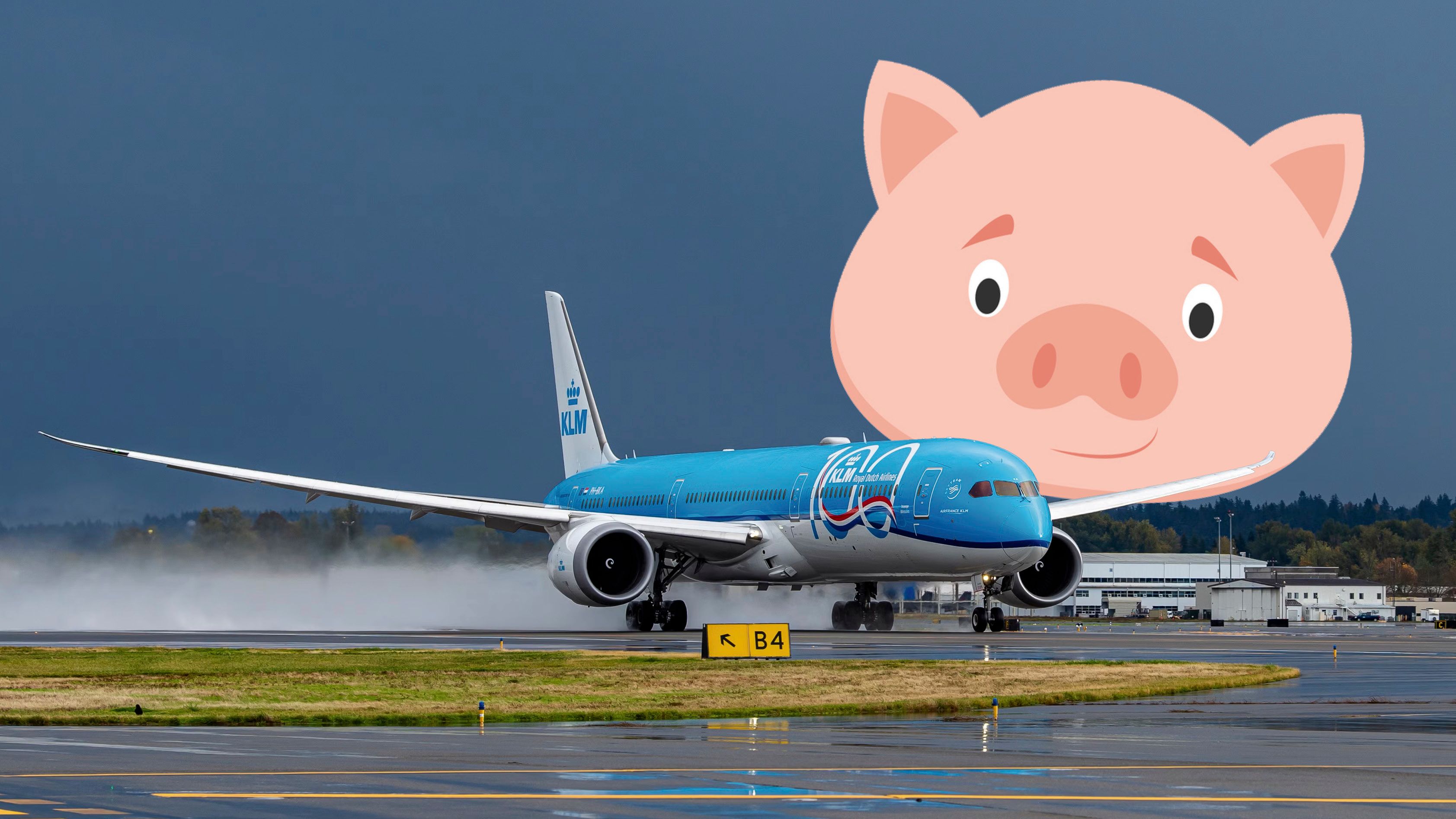 Die Story um den KLM-