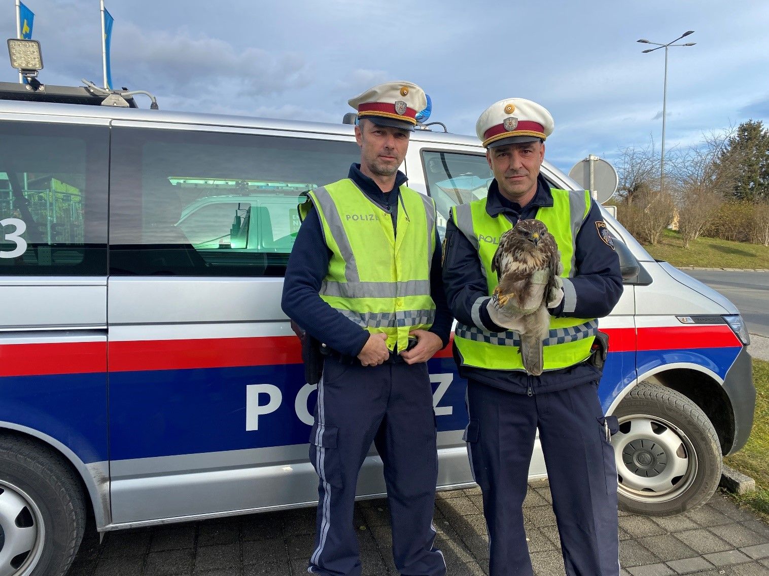 Die Beamten konnten den Mäusebussard in Sicherheit bringen.