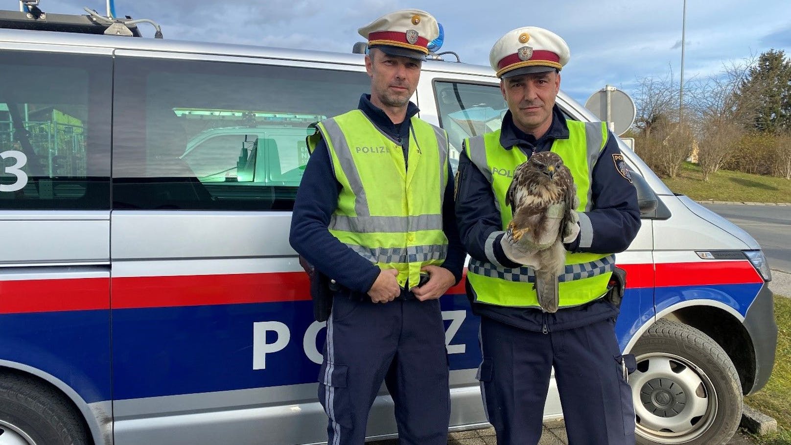 Polizisten retten verletzten Bussard auf der A2