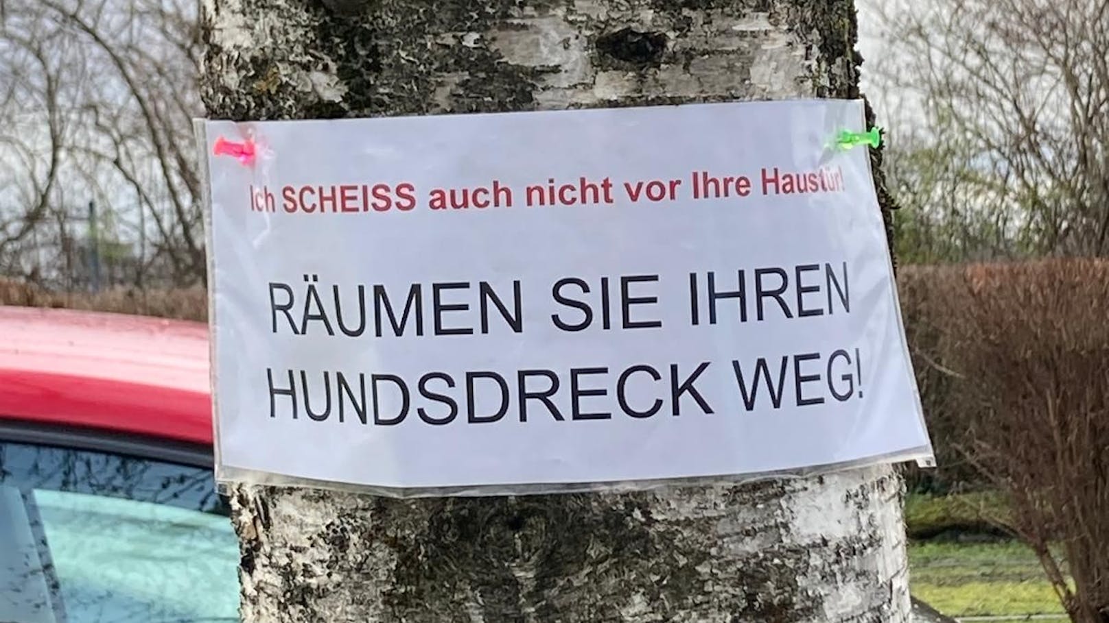 "Sch*** auch nicht vor Tür!" – Ärger über Hundstrümmerl