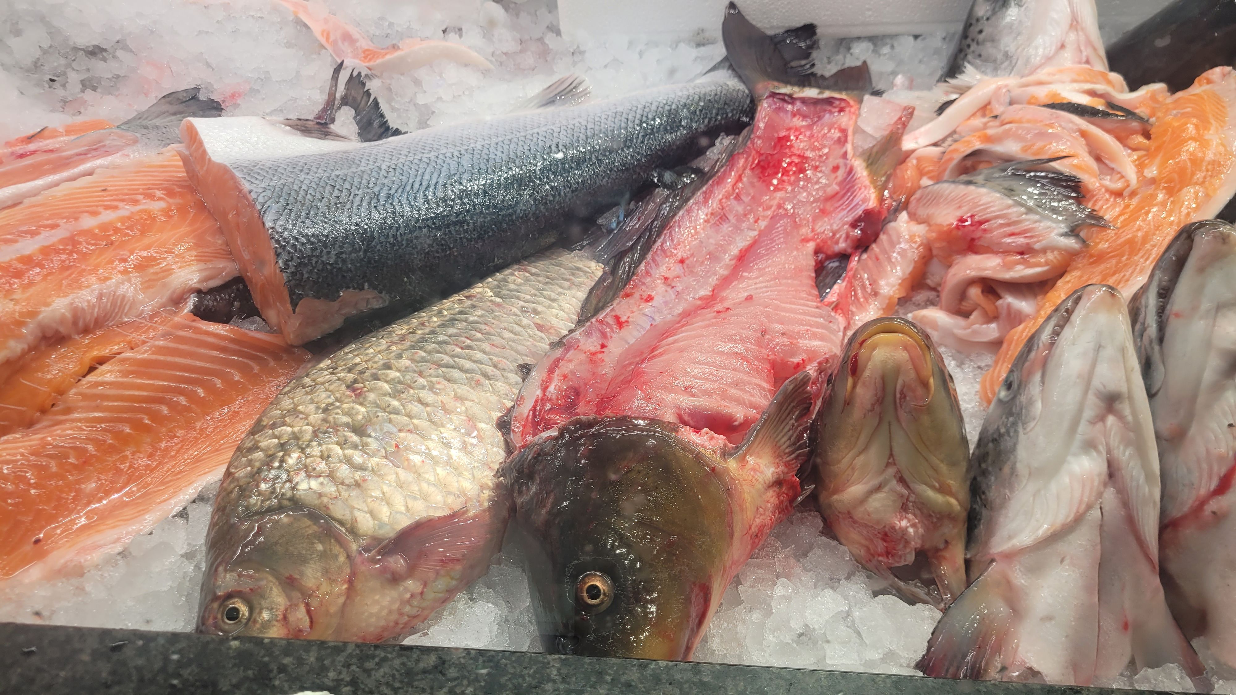 Der VGT führte heuer bei drei Wiener Lebensmittelmärkten auf den Fischverkaufsständen Kontrollen durch.