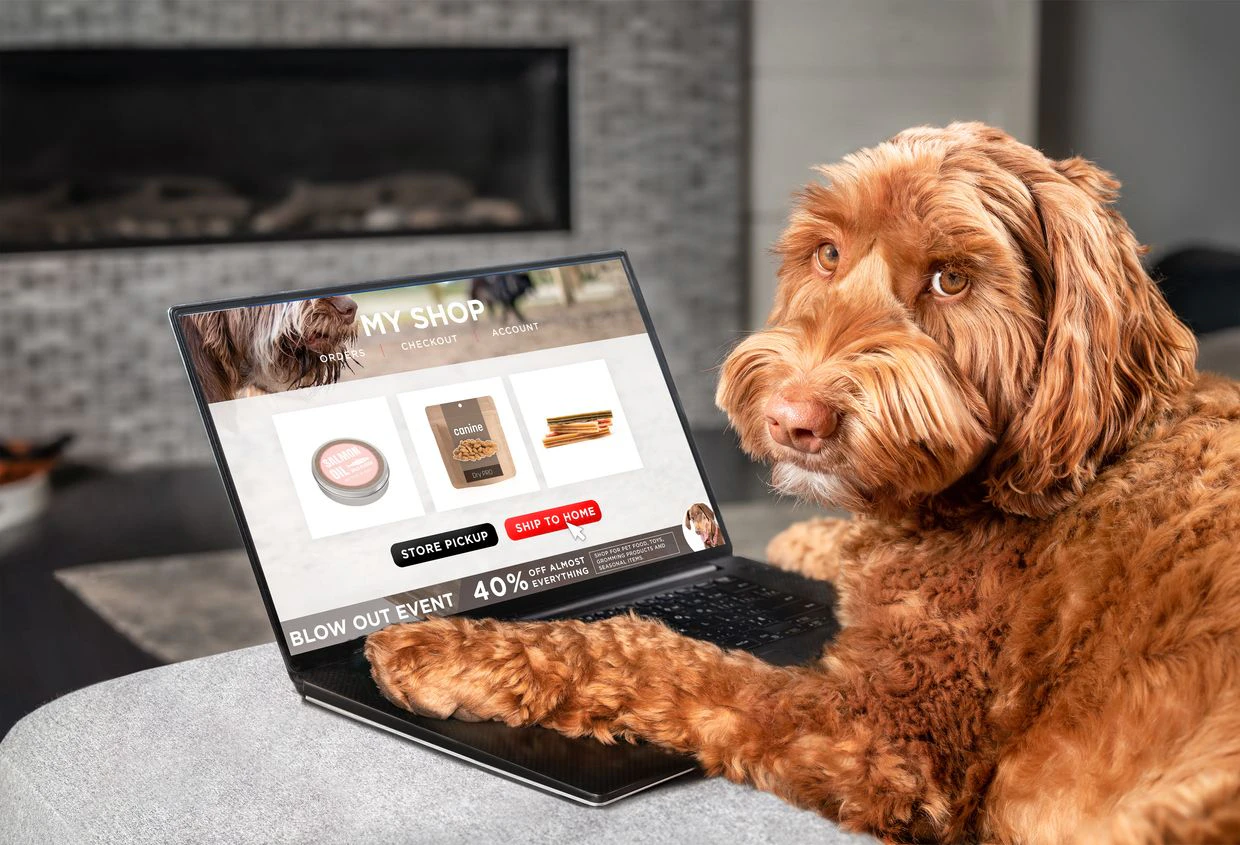 schwein hundefutter Schwein & Gemse