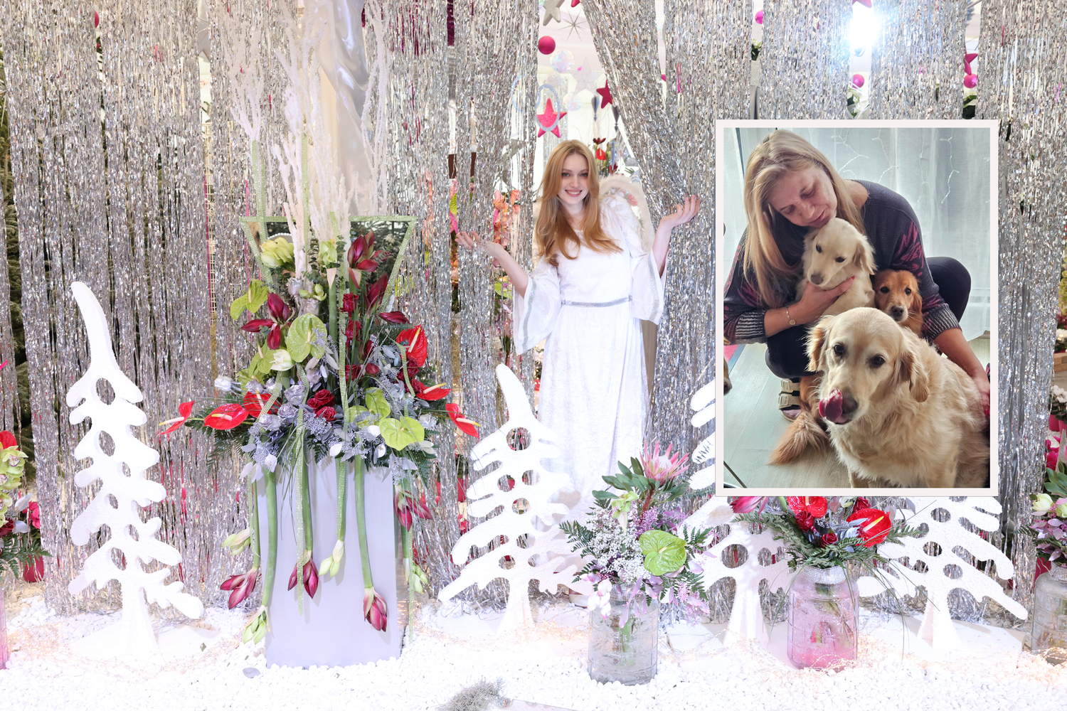 Barbara lebt am finanziellen Limit. Ihre Hunde Lucy, Luna und Colin (v.l.) sind ihre größte Stütze. Nun hilft ihr das <em>