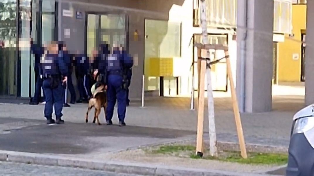 Die Polizei nahm den Mann mit der Waffe auf offener Straße fest. 