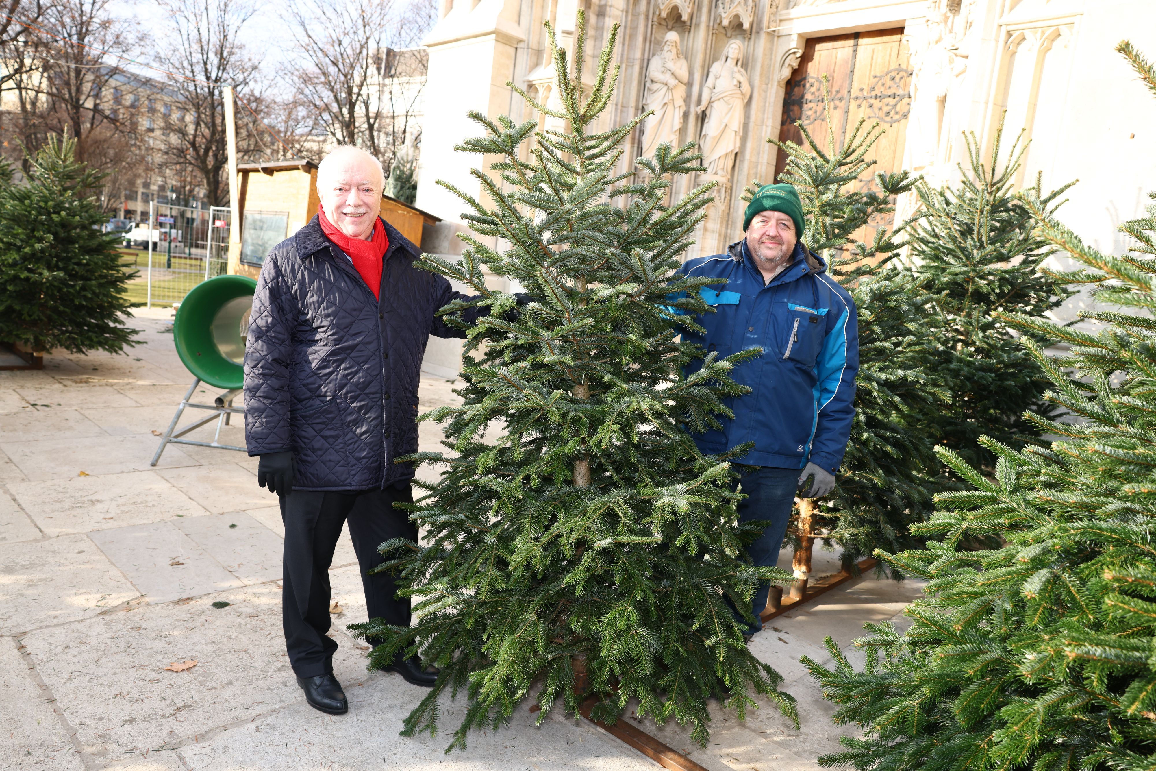 Volkshilfe-Präsident und Christbaumverkäufer Markus Unterberger (v.l.) mit den gespendeten Tannen.