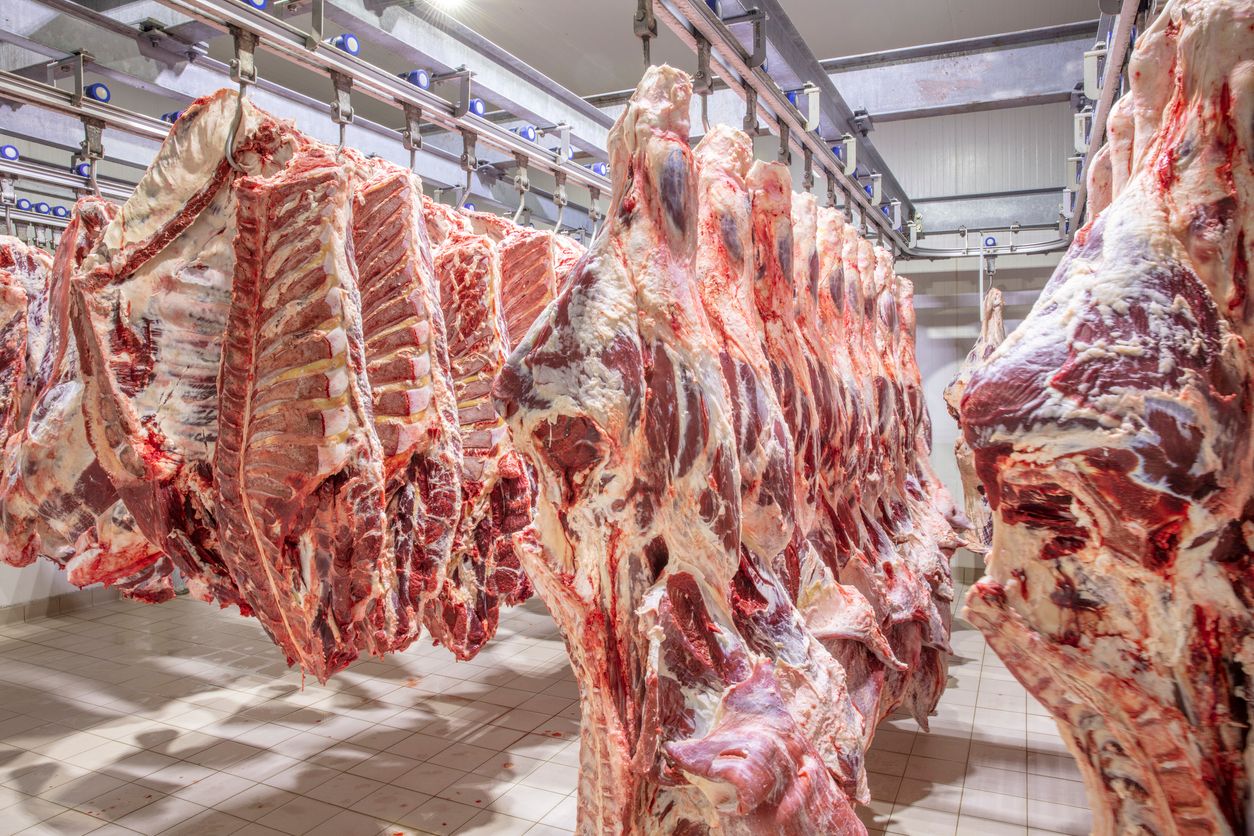 In Brasilien, Argentinien und anderen Mercosur-Ländern kommen Antibiotika als Wachstumsförderer sowie Hormone zum Einsatz, die in Europa längst verboten sind.