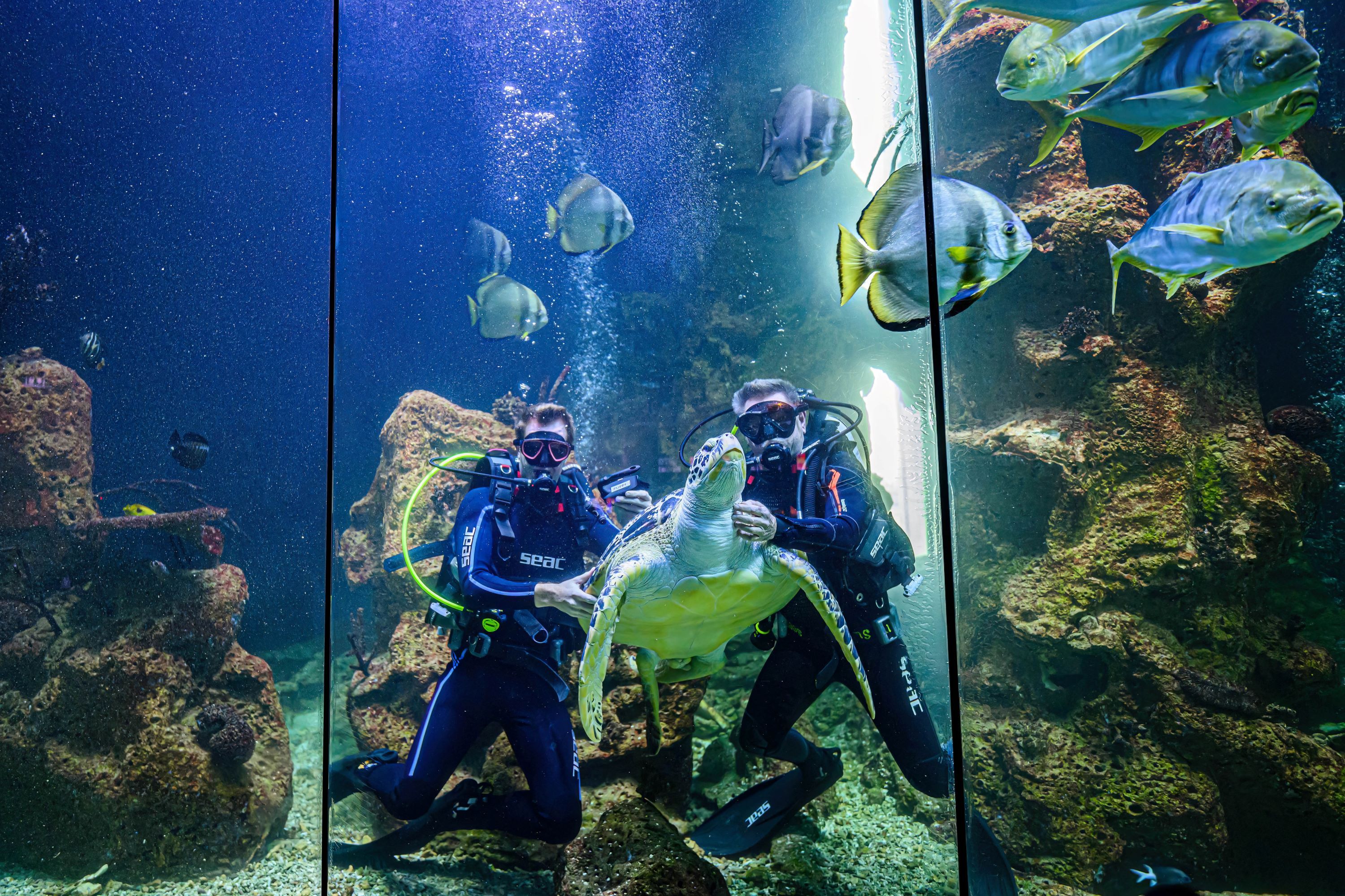 Beim gemeinsamen Tauchgang fand die 