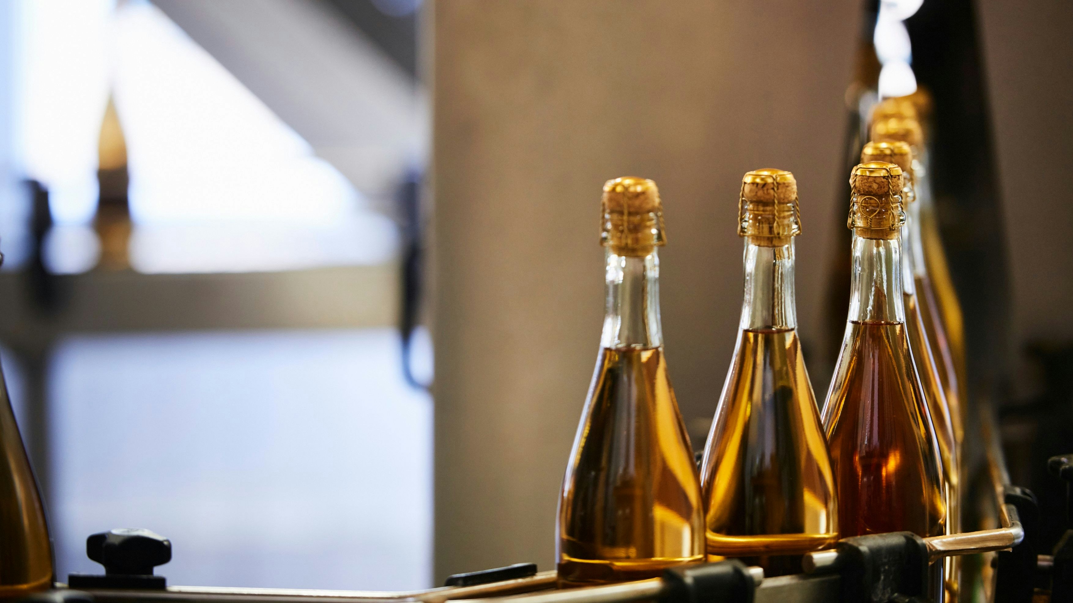 Download von www.picturedesk.com am 18.12.2024 (14:23).  Gols, Austria - February 19, 2018: Sektkellerei Szigeti; Sektflaschen auf dem Förderband fahren durch eine Flaschenreinigung. - 20180219_PD16724 - Rechteinfo: Rights Managed (RM) Nur fÃ¼r redaktionelle Nutzung!