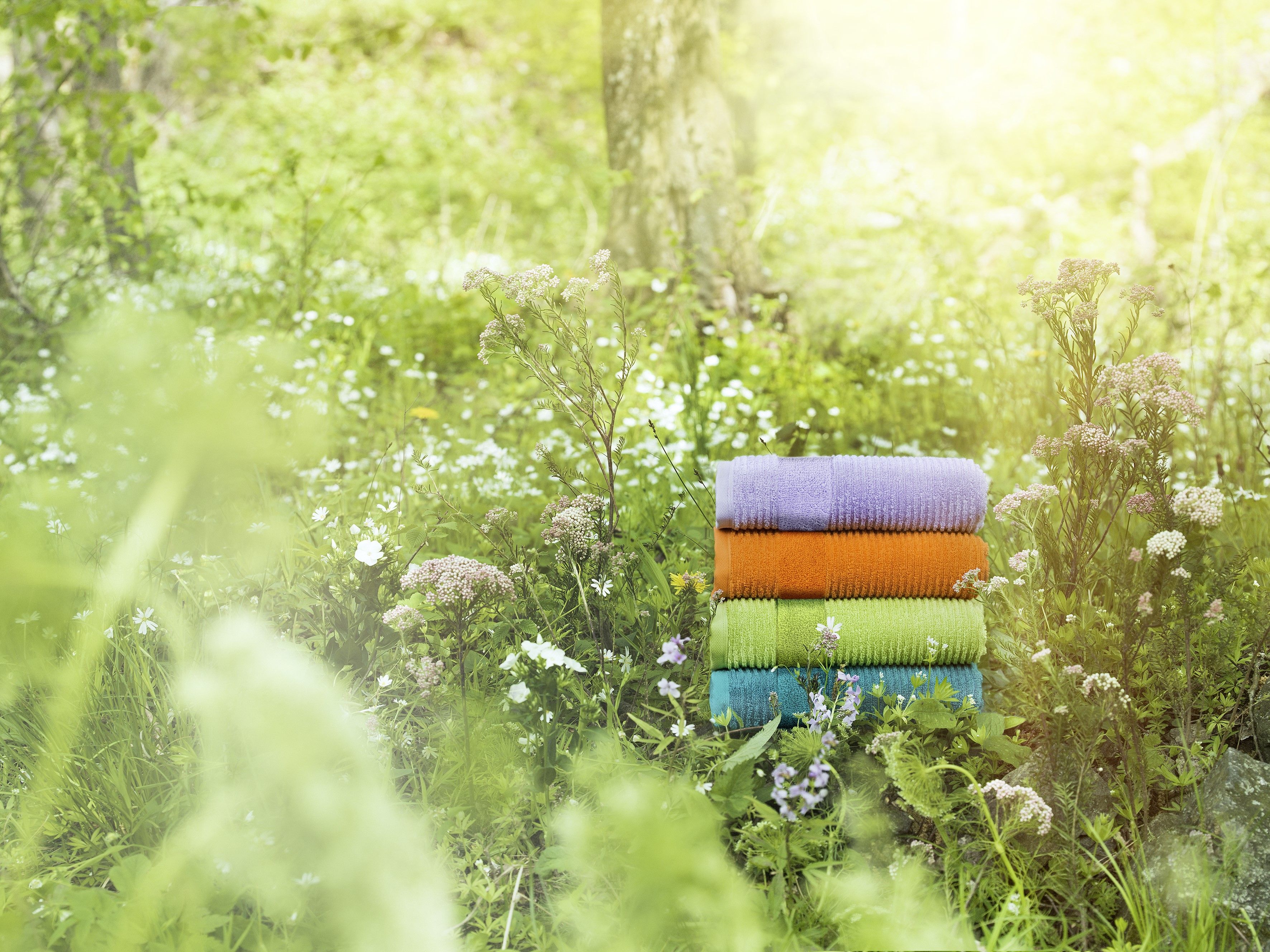 Heute.at - Biologisch abbaubares Handtuch verblüfft Konsumenten