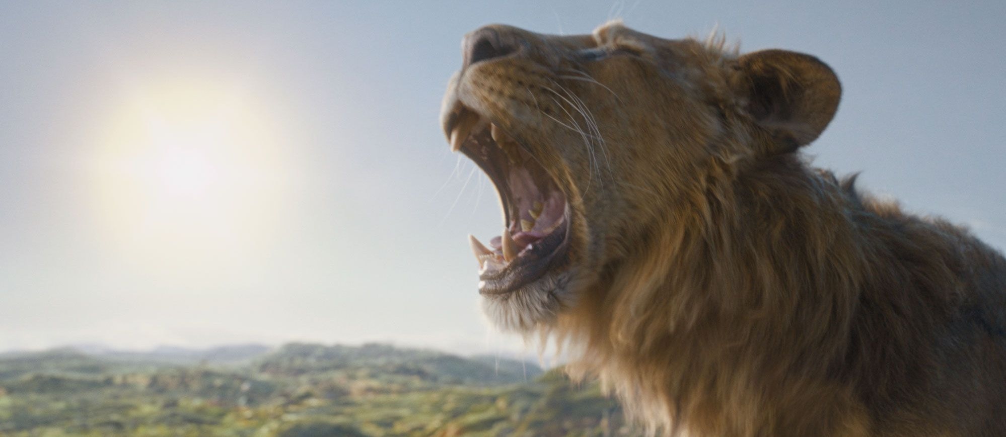 Mufasa (voiced by Aaron Pierre) in Disney’s live-action MUFASA: THE LION KING. Photo courtesy of Disney. © 2024 Disney Enterprises Inc. All Rights Reserved.