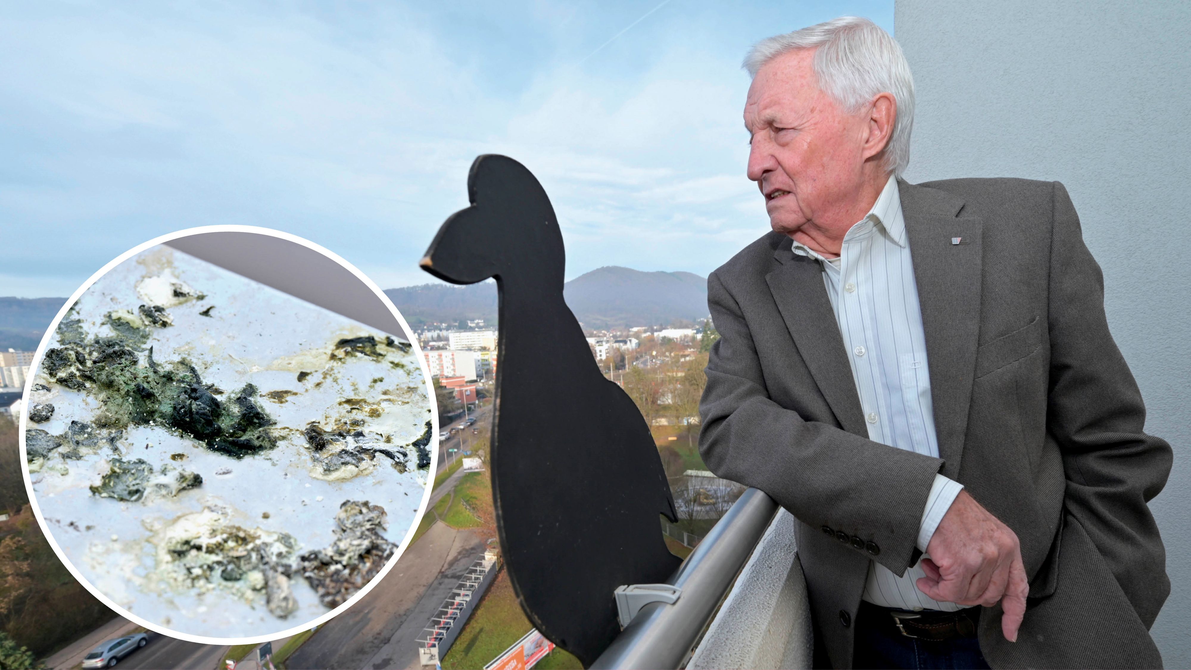 Reinhold K. (82) leidet seit Wochen unter einer massiven Taubenplage bei seinem Zuhause.