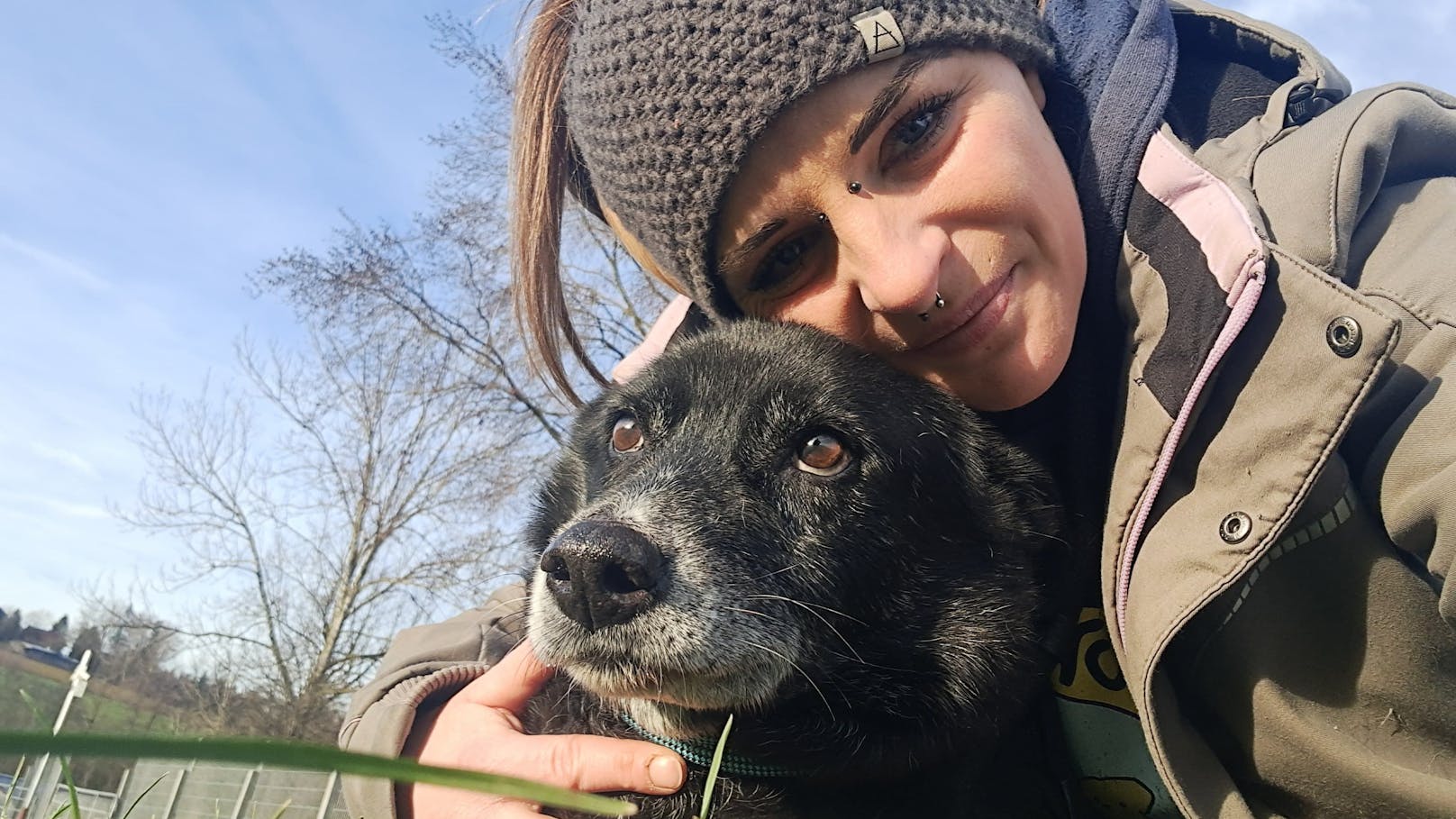 Der Hunde-Opi darf sich jetzt bei der Pfotenhilfe erholen. 