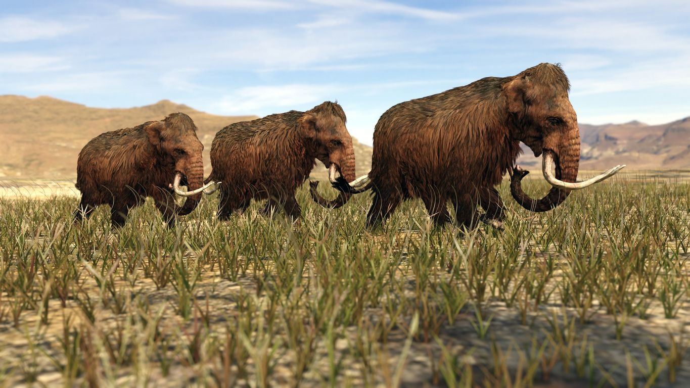 A 3D illustration of Jeffersonian Mammoths crossing the US Great Plains.