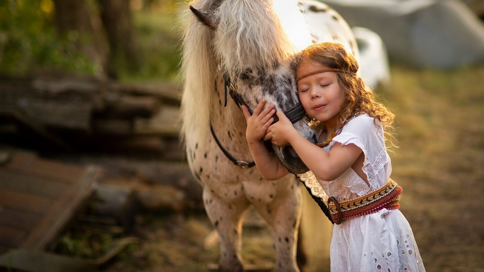 Reitanfänge werden meist auf einem Pony gemacht. 