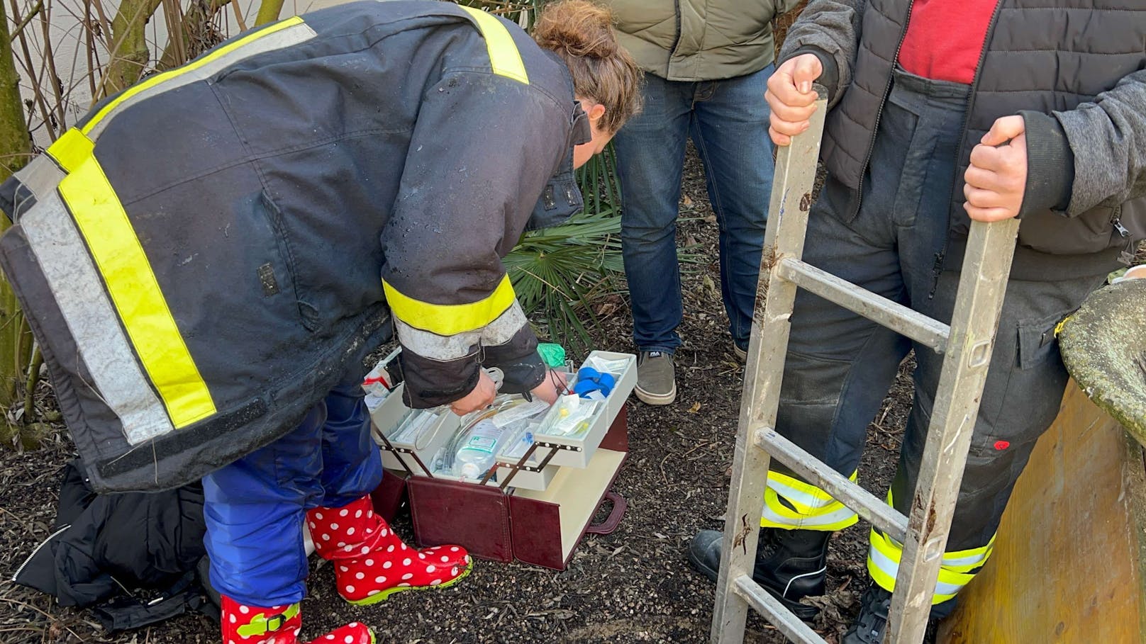 Einsatzkräfte retten Hund aus Brunnenschacht