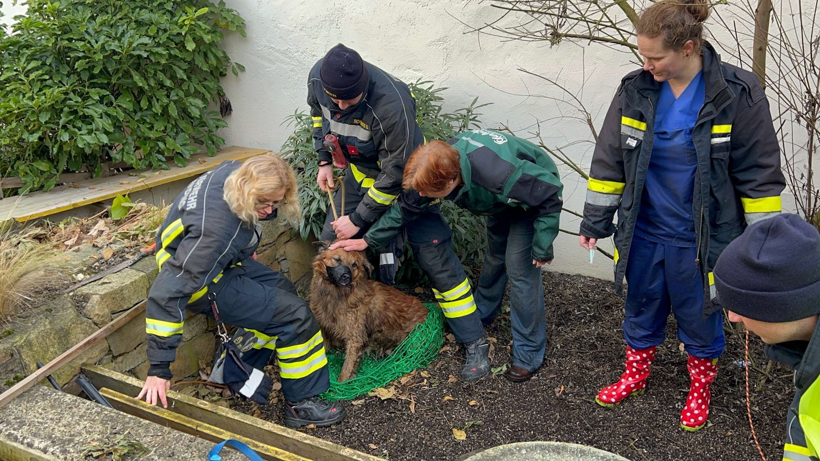 Einsatzkräfte retten Hund aus Brunnenschacht