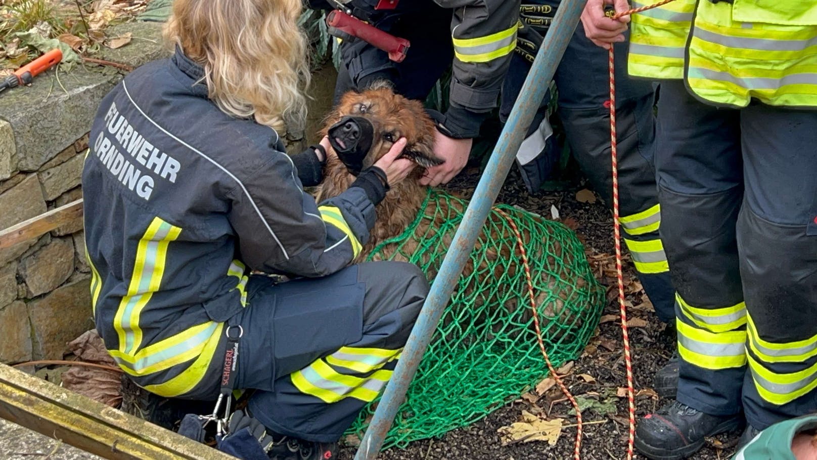 Einsatzkräfte retten Hund aus Brunnenschacht