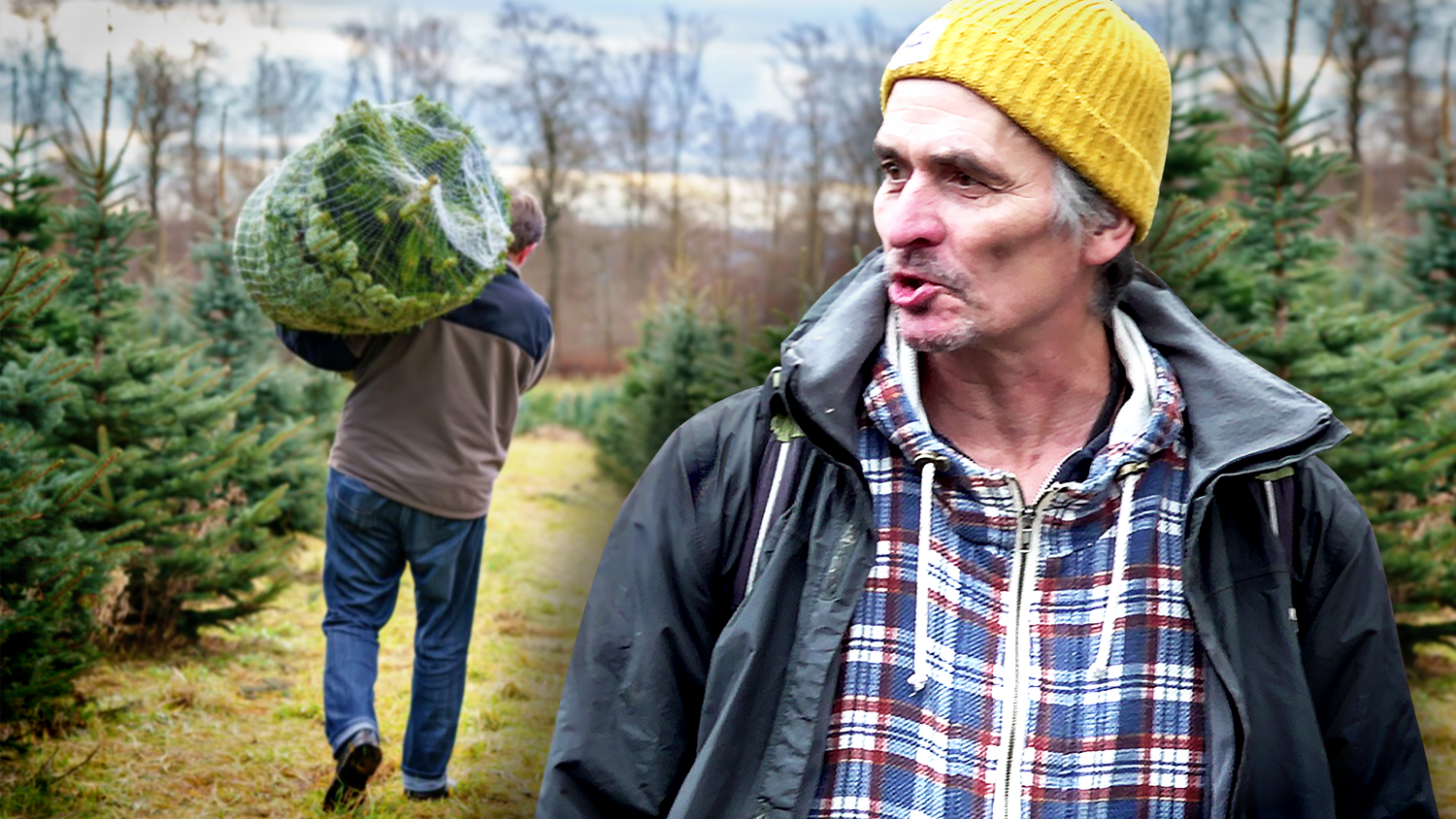 Werner verzichtet gleich ganz auf das Weihnachtsfest