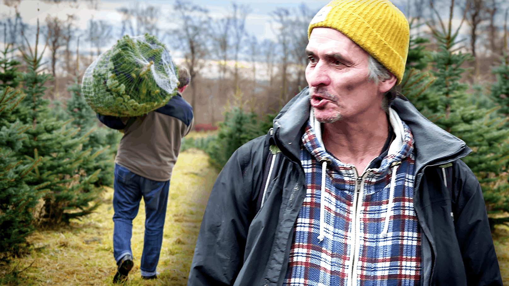 Kein Christbaum: "Weihnachten geht ma am Oa*** vorbei"