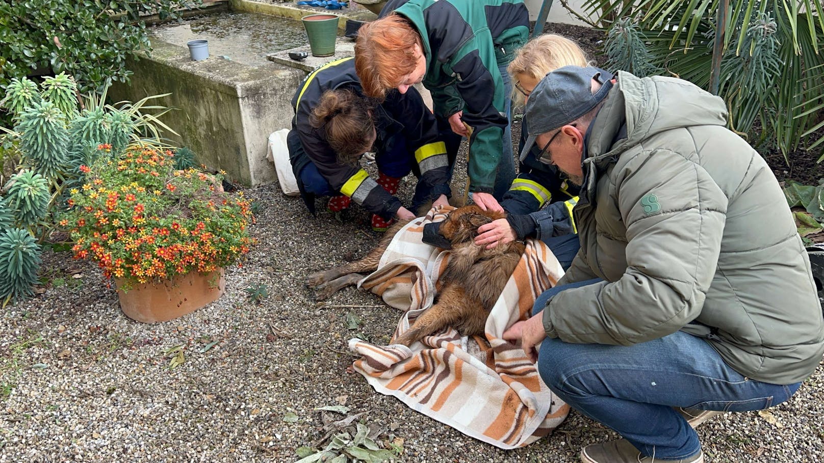 Einsatzkräfte retten Hund aus Brunnenschacht