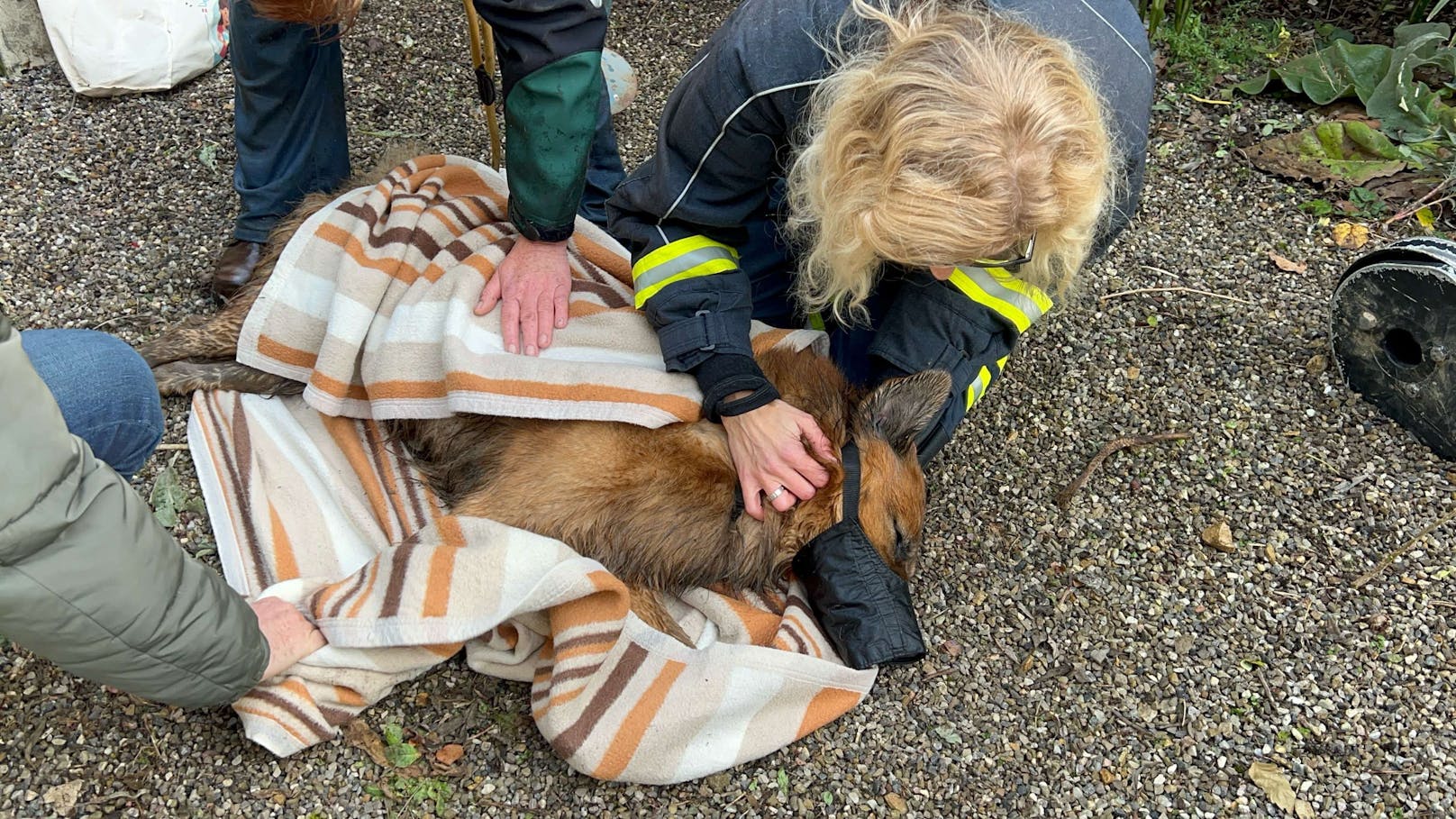 Einsatzkräfte retten Hund aus Brunnenschacht