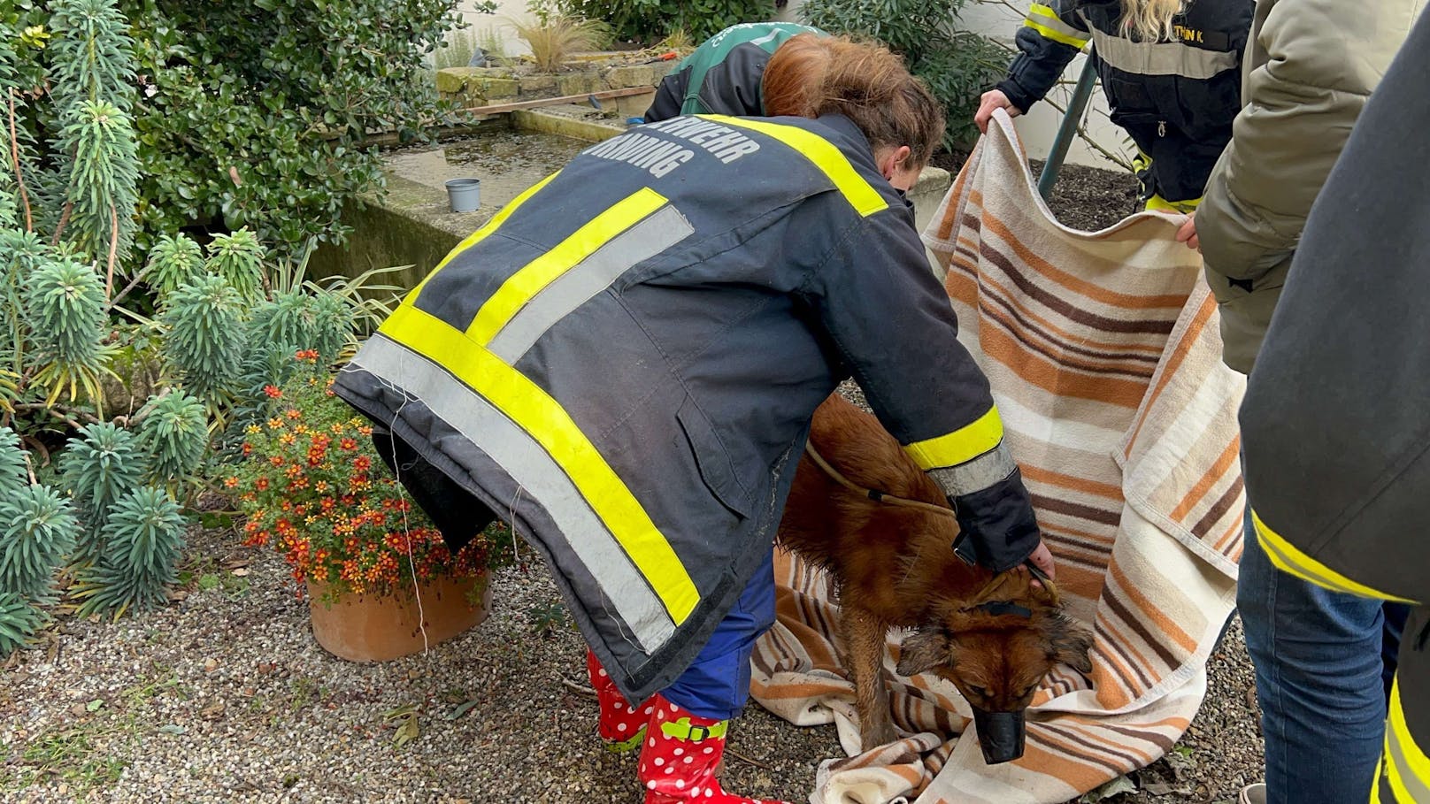 Einsatzkräfte retten Hund aus Brunnenschacht