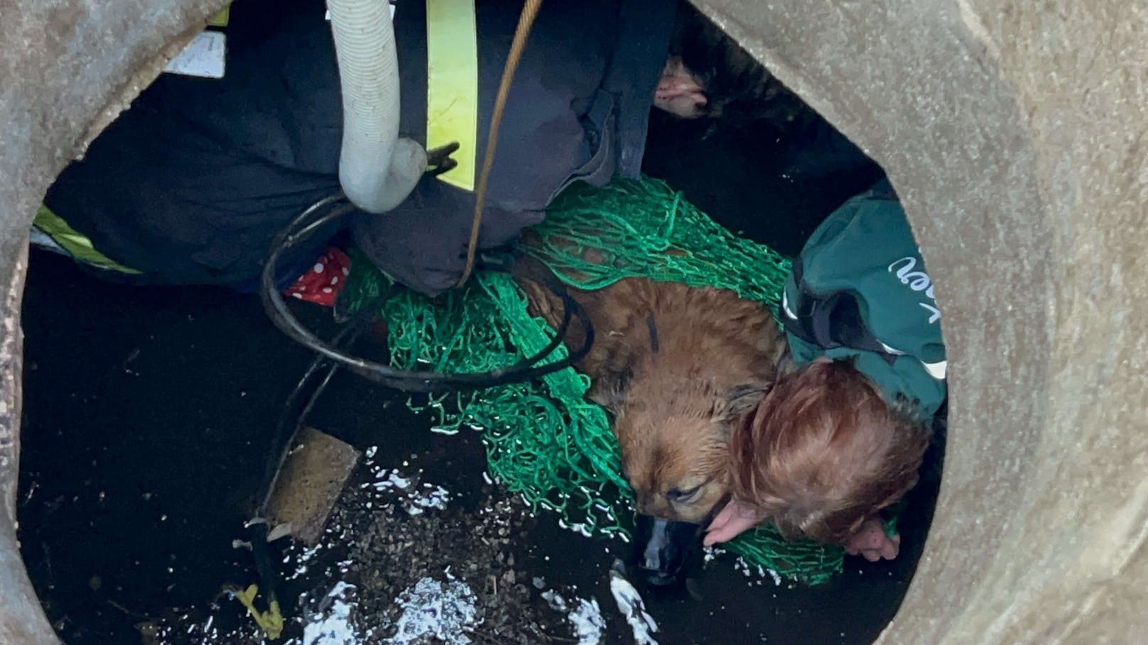 Einsatzkräfte retten Hund aus Brunnenschacht