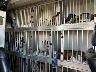 Die Beamten stellten zahlreiche Verstöße fest.