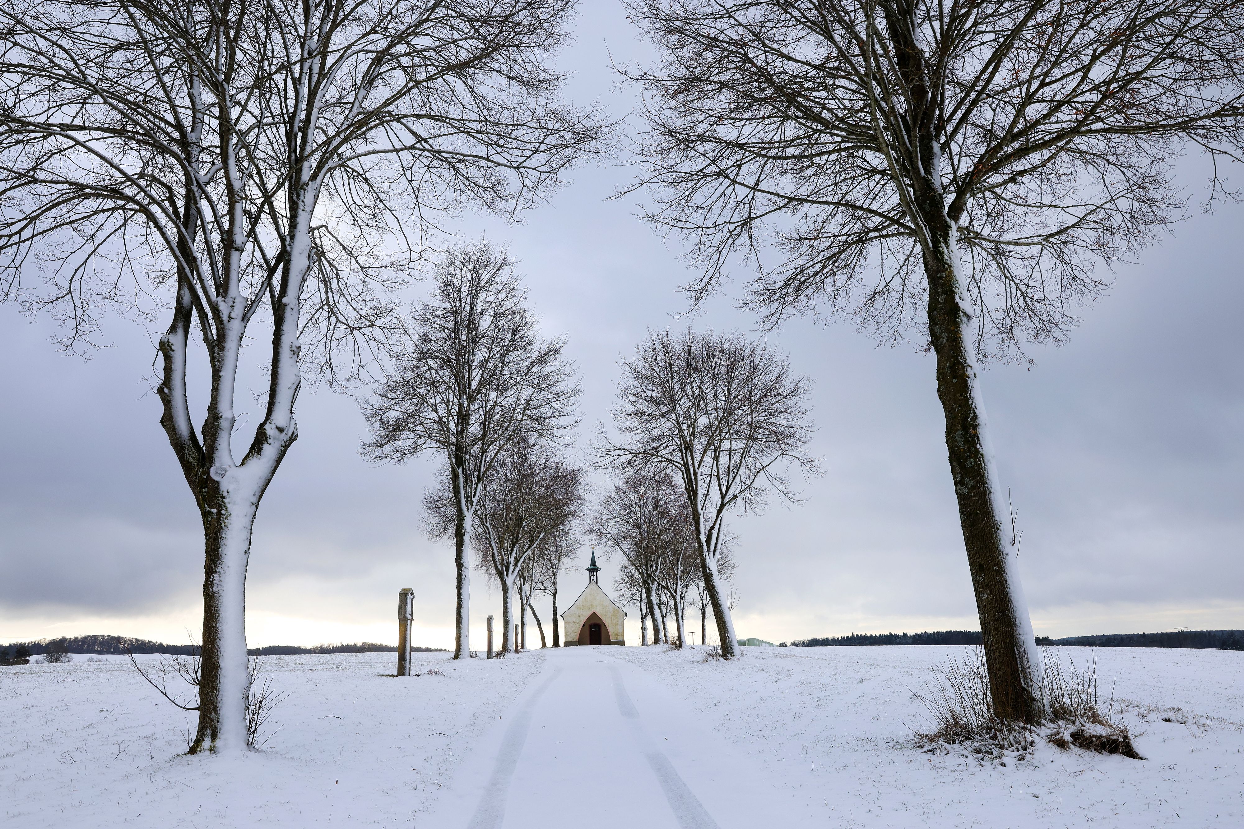 Ein Hochdruckeinfluss stellt das Wetter nach den Weihnachtsfeiertagen völlig auf den Kopf. (Symbolbild)