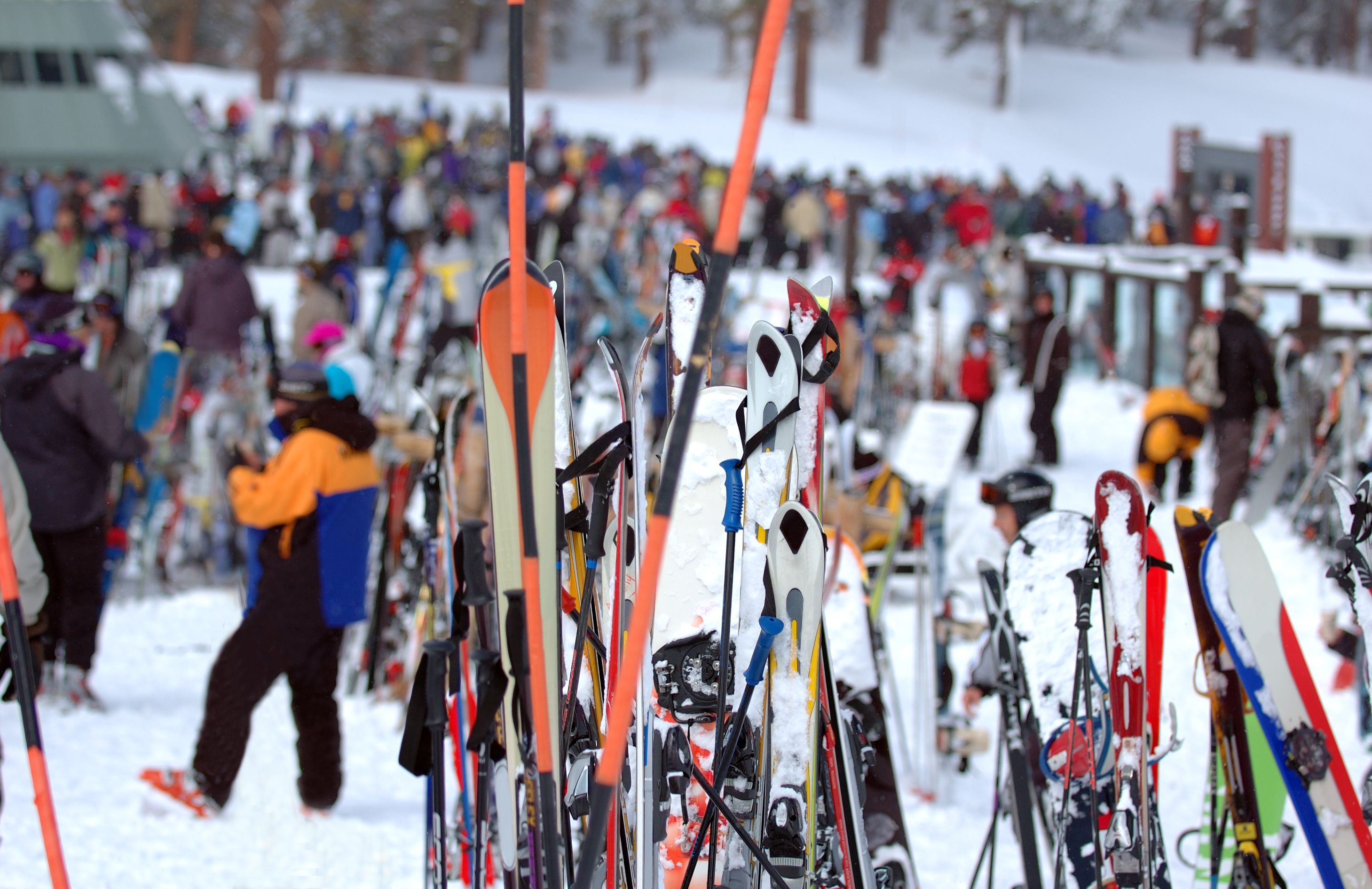Ende November 2024 stammten etwa 116.080 Beschäftigte im Tourismus, also rund 58 Prozent, aus dem Ausland.