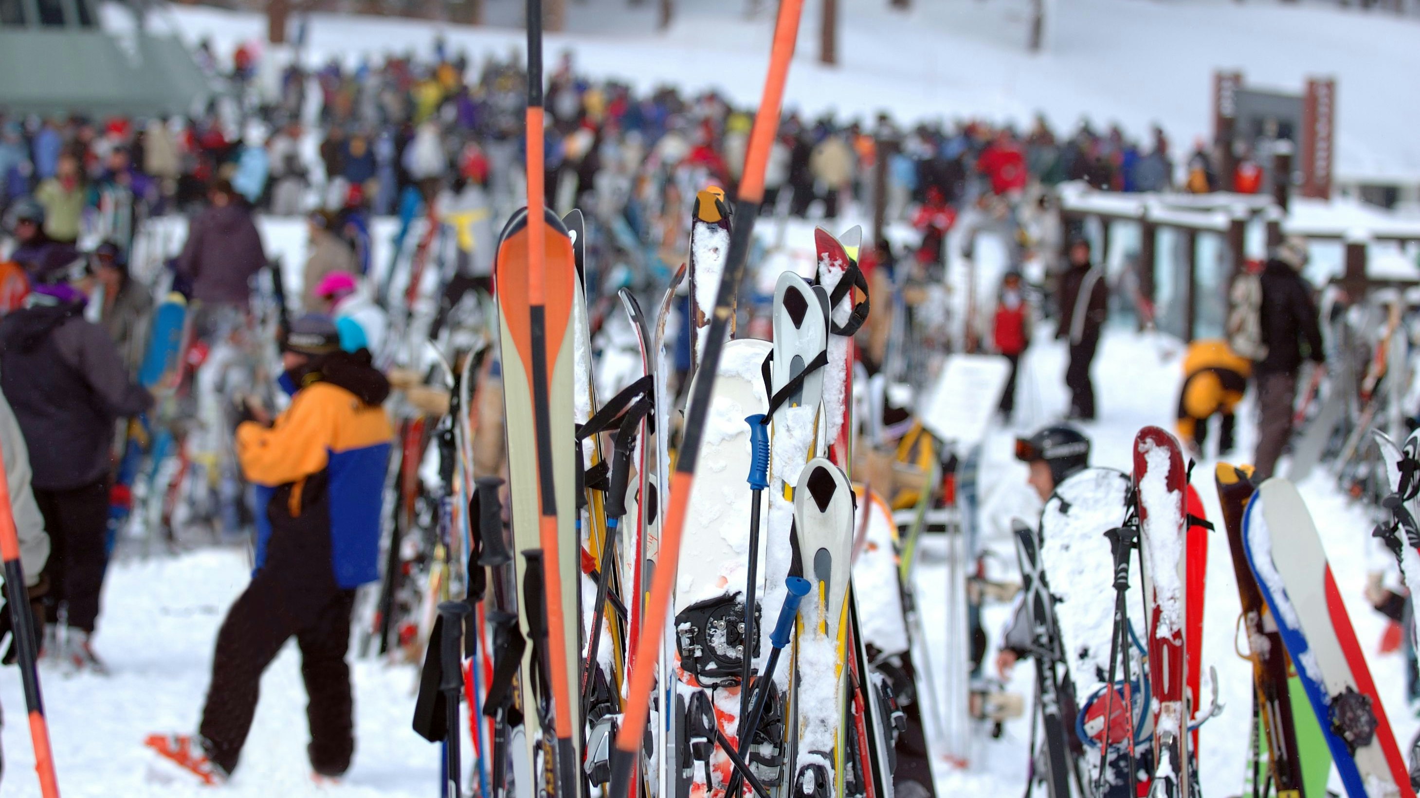 Ende November 2024 stammten etwa 116.080 Beschäftigte im Tourismus, also rund 58 Prozent, aus dem Ausland.