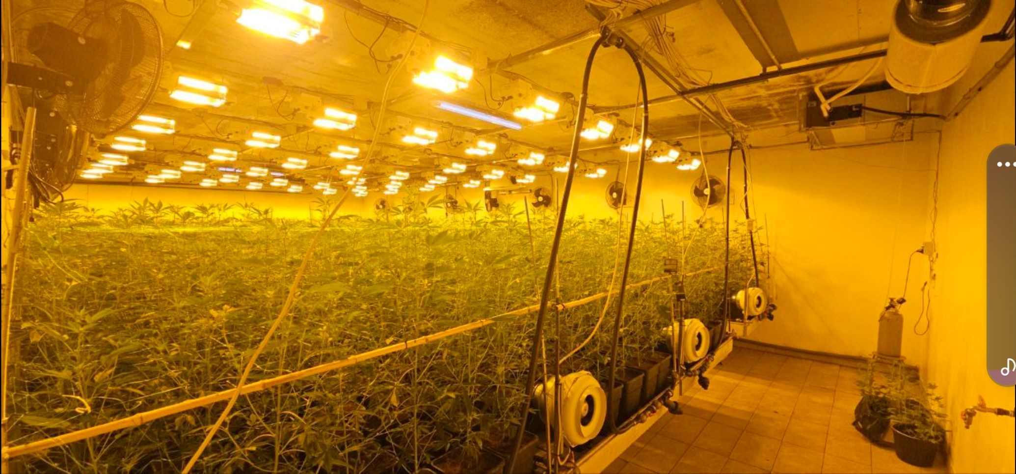 Heroin, Kokain, Cannabis: Drogenbande in Haft