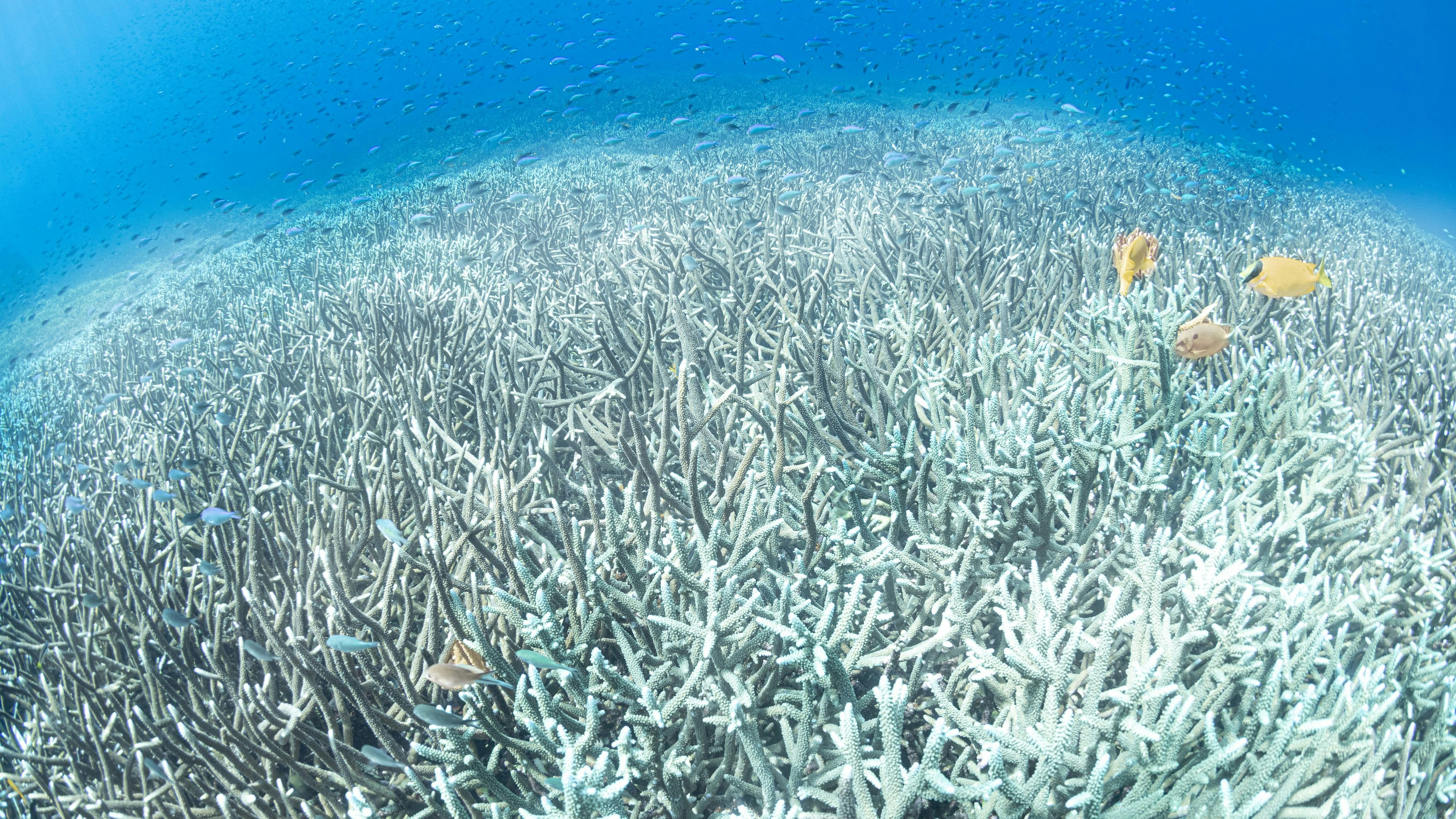 Heute.at - „Wir sind in Gefahr“ – 600 Forscher mit ernster Warnung