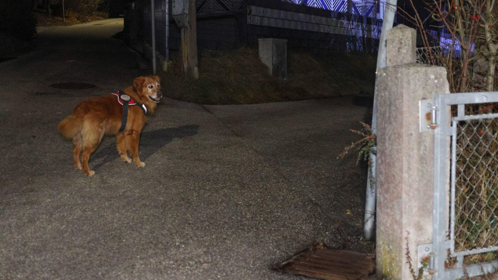 In Vöcklabruck stand in der Nacht auf Samstag ein Großaufgebot an Einsatzkräften bei einer nächtlichen Suchaktion nach einem abgängigen 83-Jährigen im Einsatz.