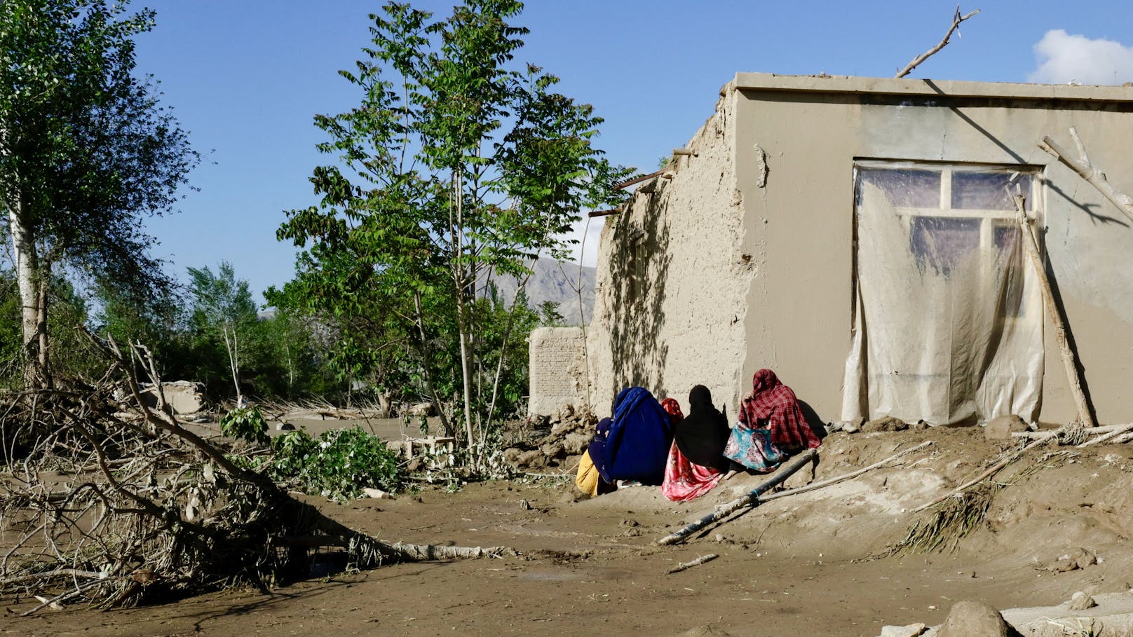 Wenn man Frauen sehen könnte: Taliban verbieten Fenster