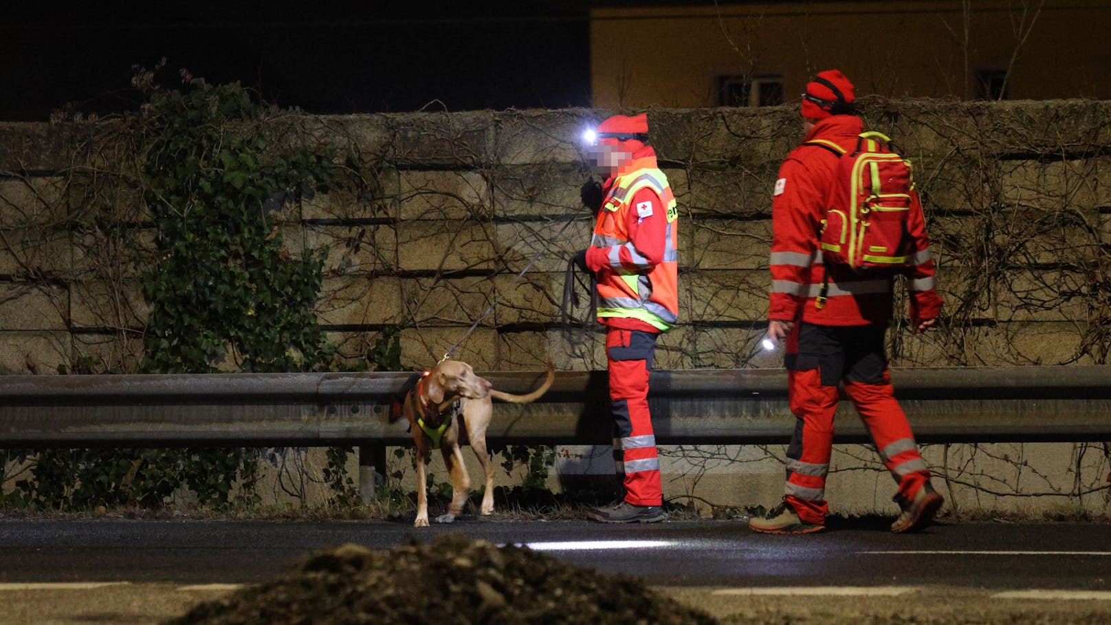 Besonders das Waldgebiet, in dem der 85-Jährige täglich spazieren ging, wurde intensiv abgesucht.