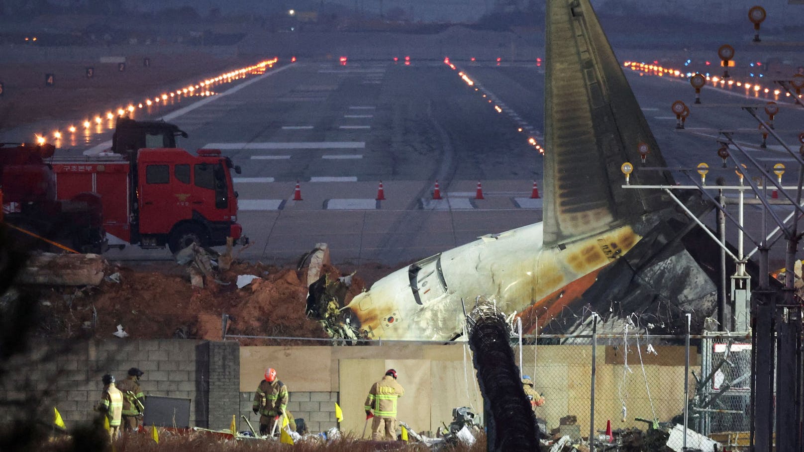 Nach Flugzeugcrash: Vogel-DNA und Federn in Triebwerk