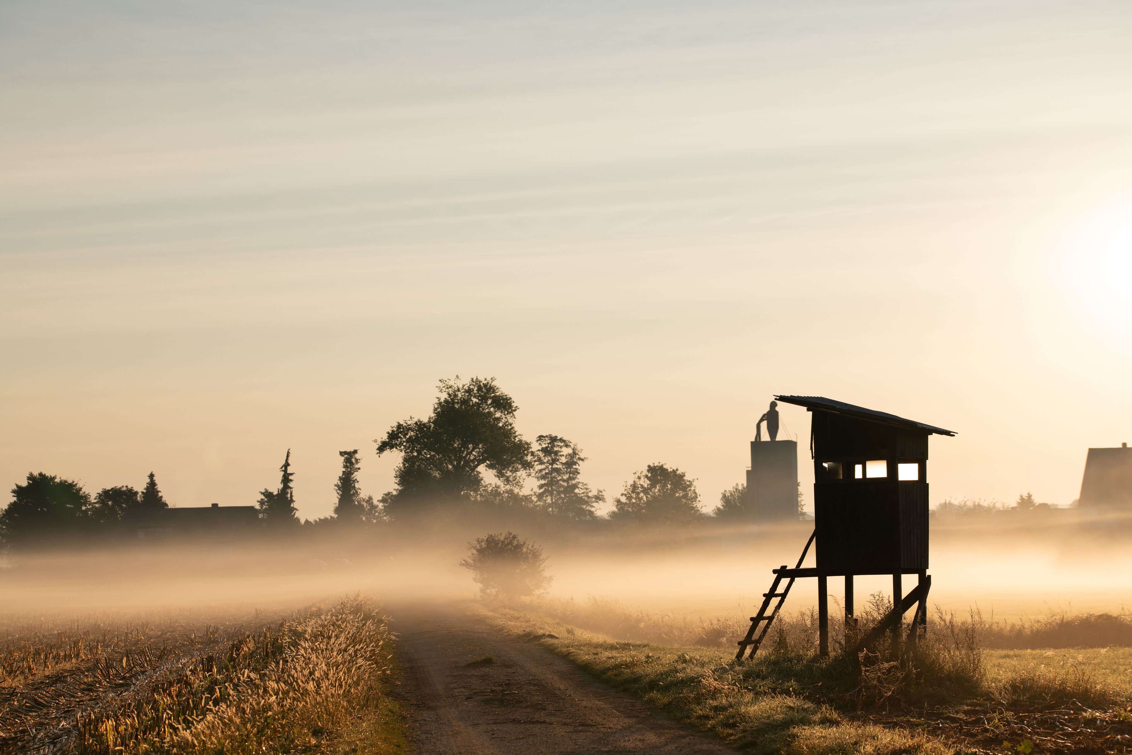 Symbolbild eines Jagdstandes