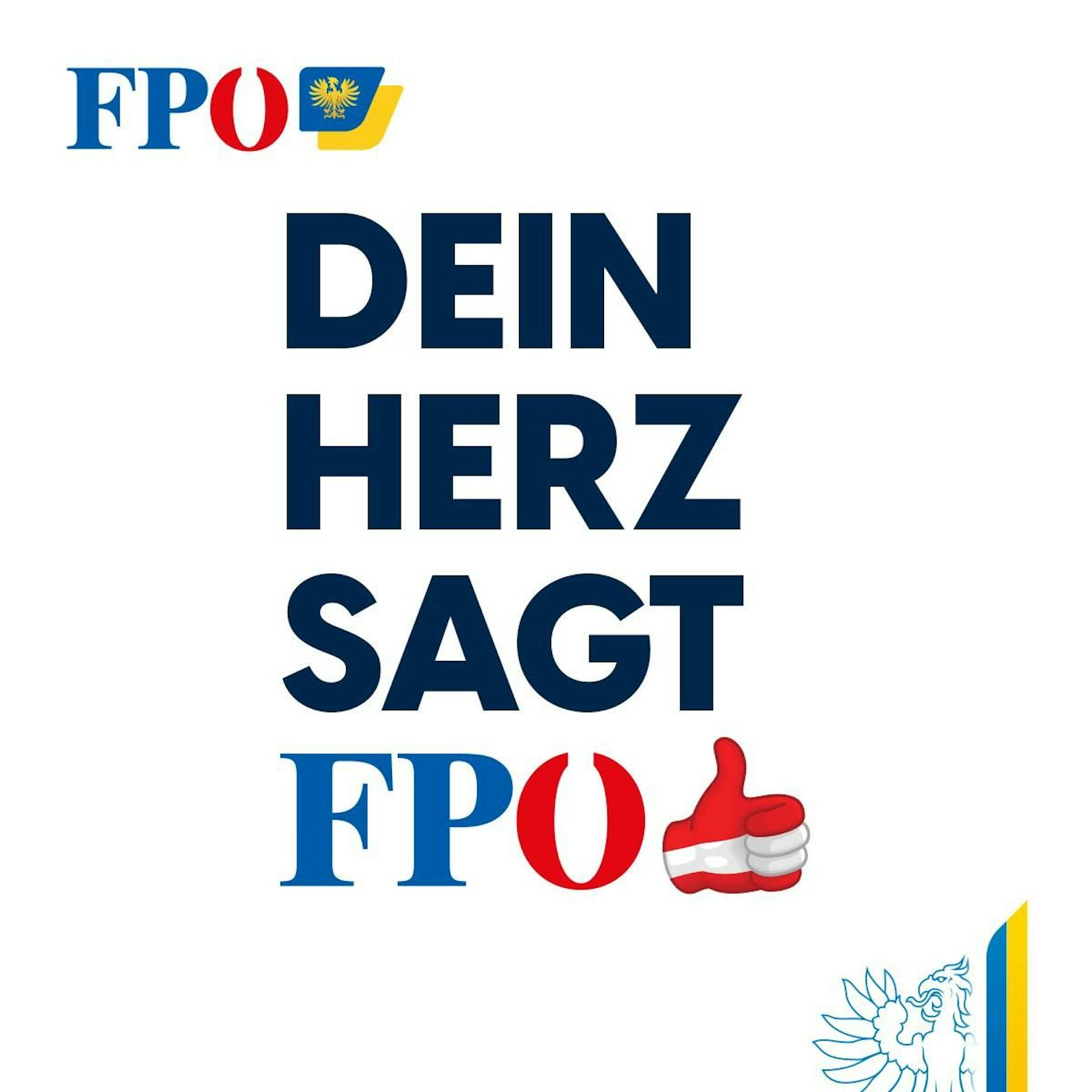 Wahl in NÖ: So sehen die neuen FPÖ-Plakate aus