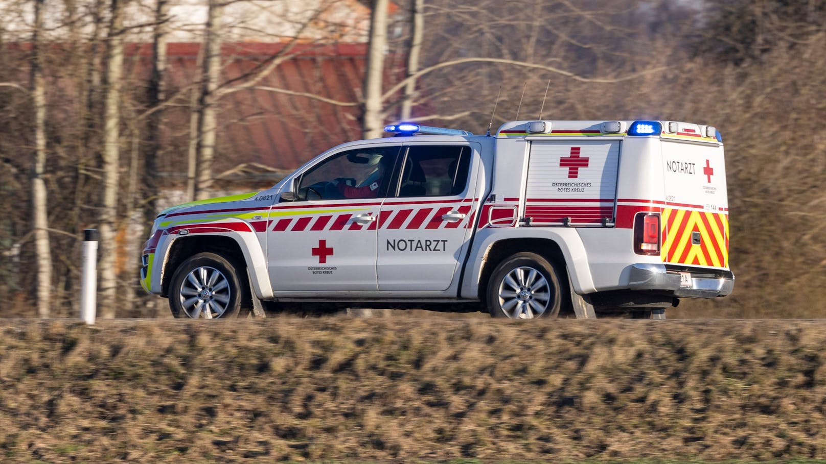 Steirer (58) bei Holzarbeiten von Baum erschlagen