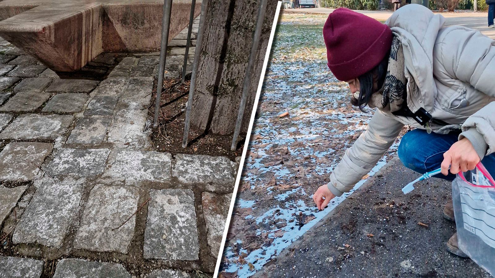 Die Grünen Wien nahmen Proben am Yppenplatz und im Rathauspark.