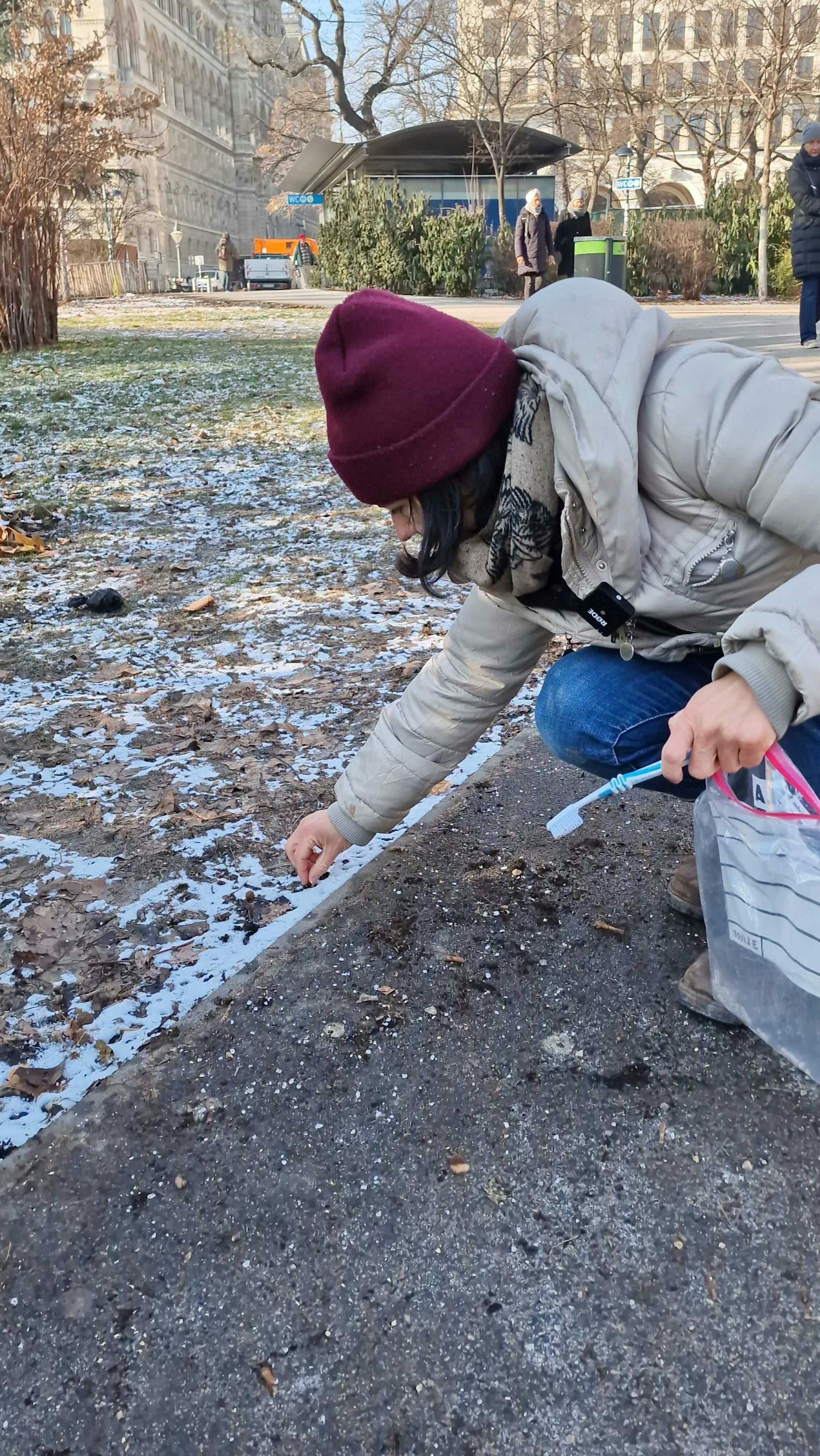 Huem Otero García entnimmt eine Streusalz-Probe im Wiener Rathauspark.