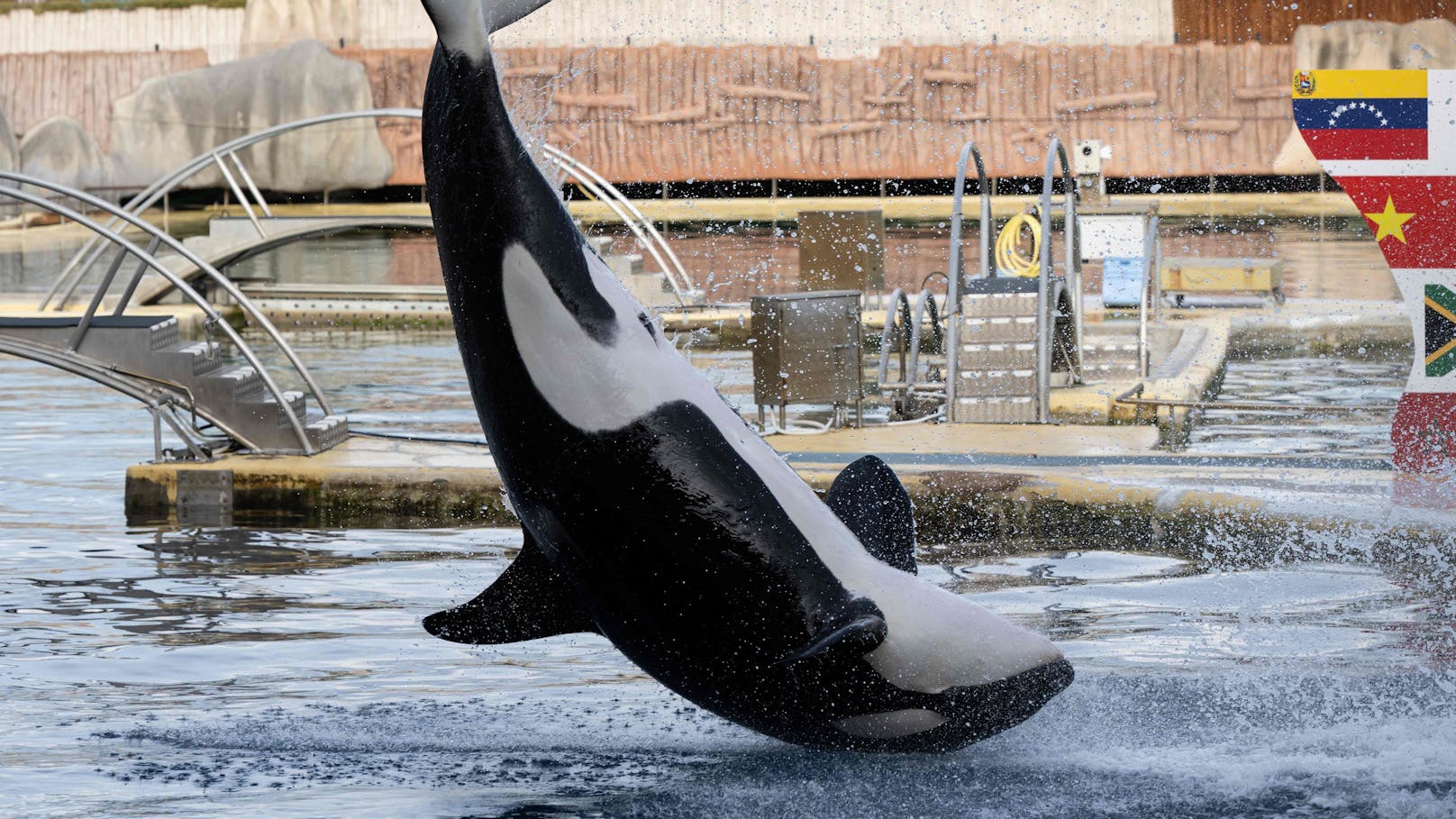 Der größte Meereszoo Europas - das Marineland in Frankreich - schließt am 5. Jänner 2025 endgültig.