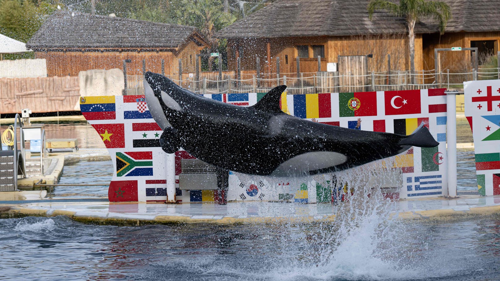 Der größte Meereszoo Europas - das Marineland in Frankreich - schließt am 5. Jänner 2025 endgültig.