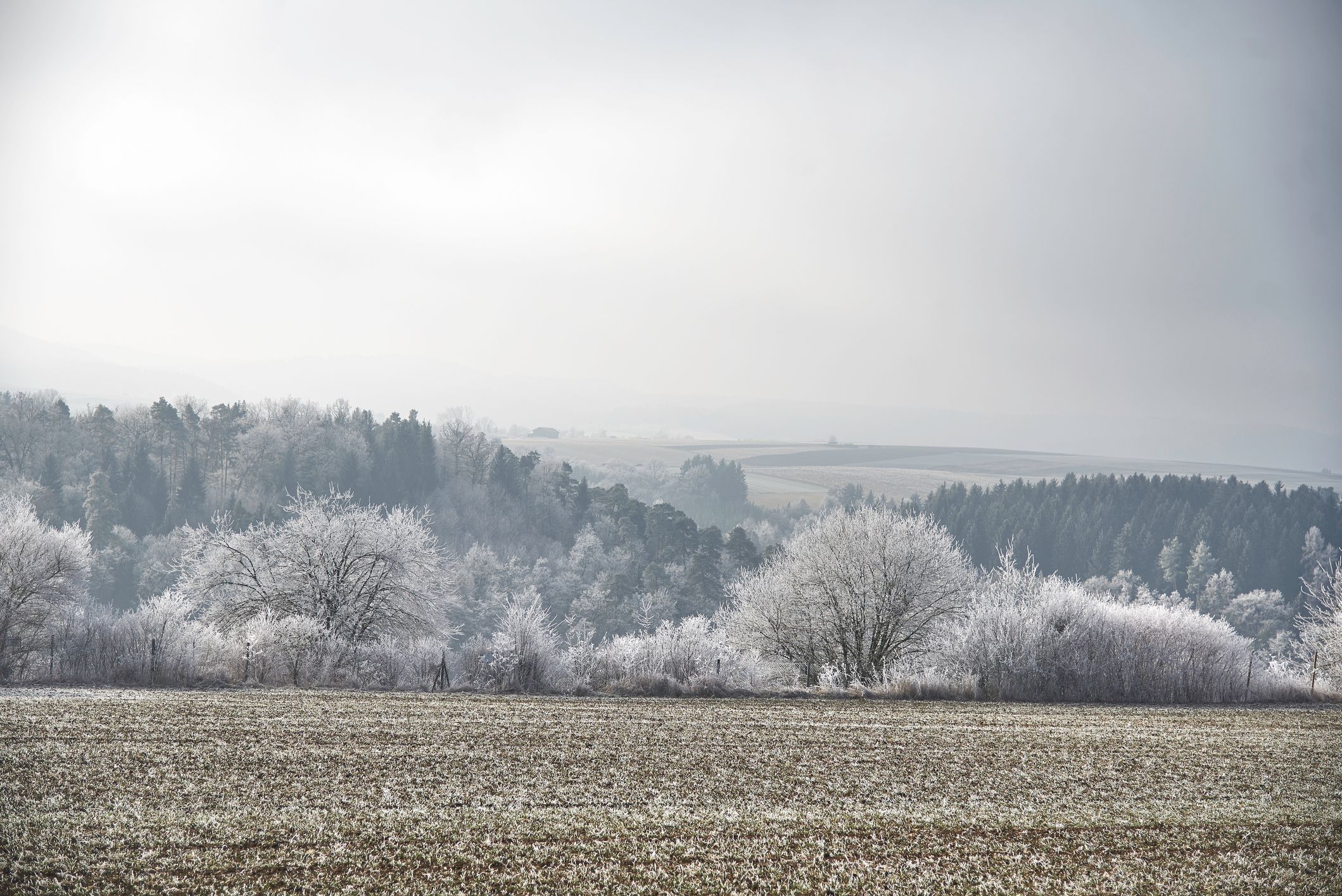 Auch am Wochenende sinken die Temperaturen in Teilen des Landes unter den Gefrierpunkt. (Symbolbild)