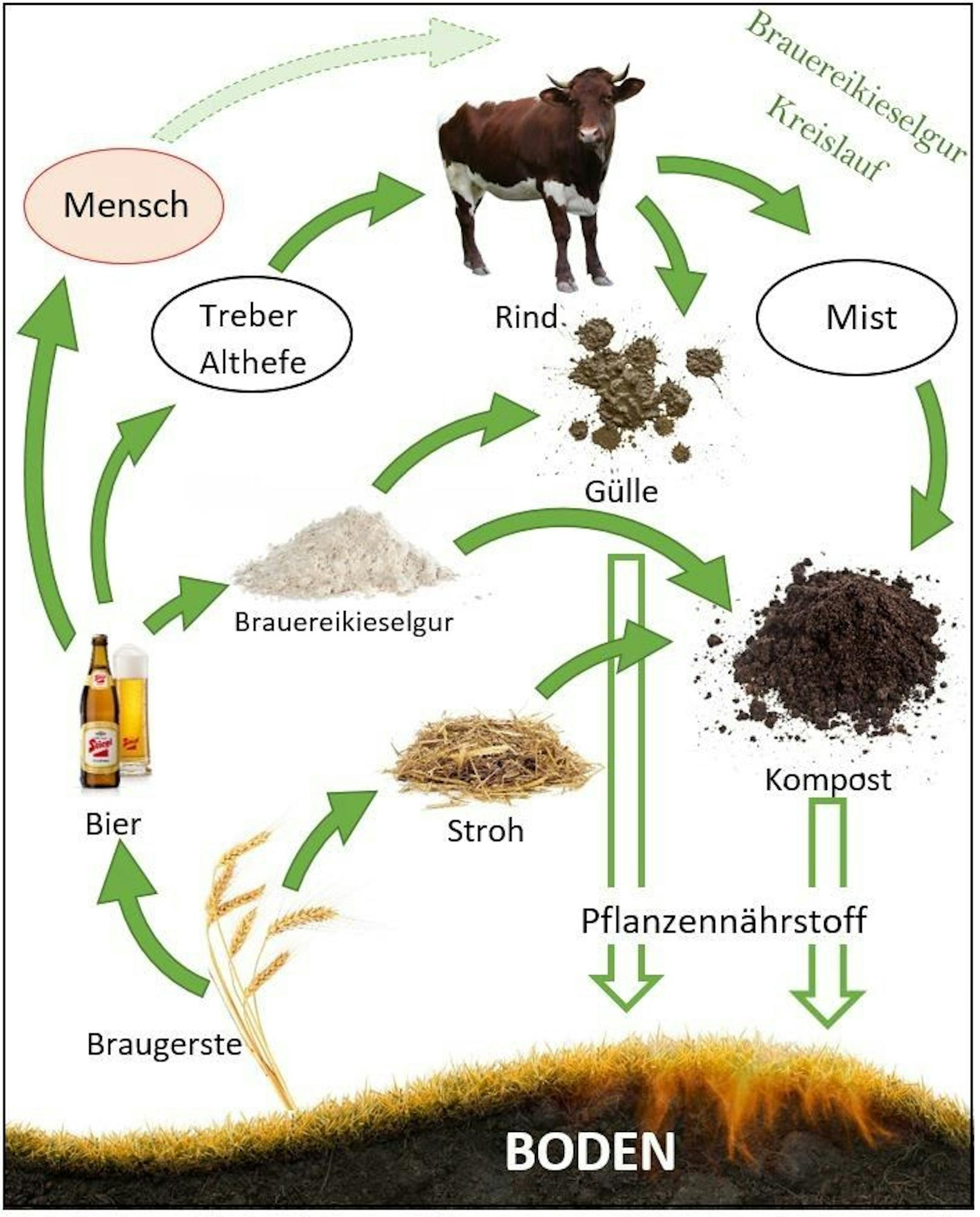 Stiegl Brauerei zu Salzburg GmbH: Kieselgur-Kreislauf