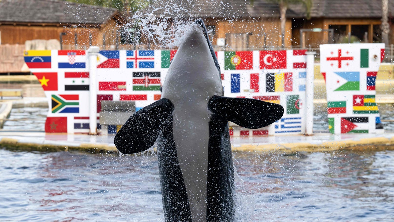 Der größte Meereszoo Europas - das Marineland in Frankreich - schließt am 5. Jänner 2025 endgültig.