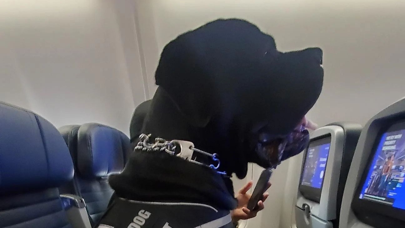 Heute.at - Passagier empört – muss seinen Sitz für Fellnase räumen